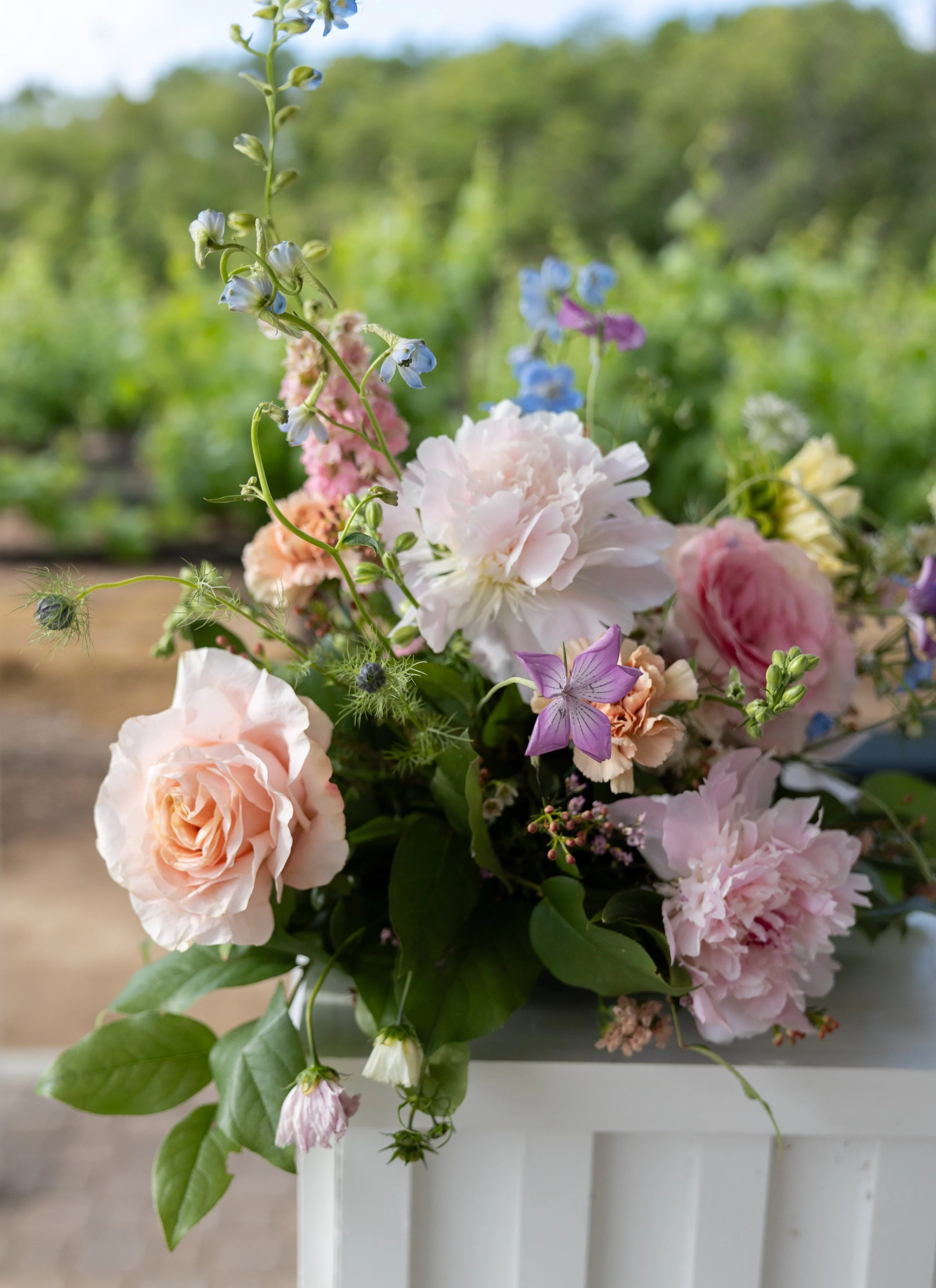 Bright Rancho Guejito Vineyard Summer Wedding