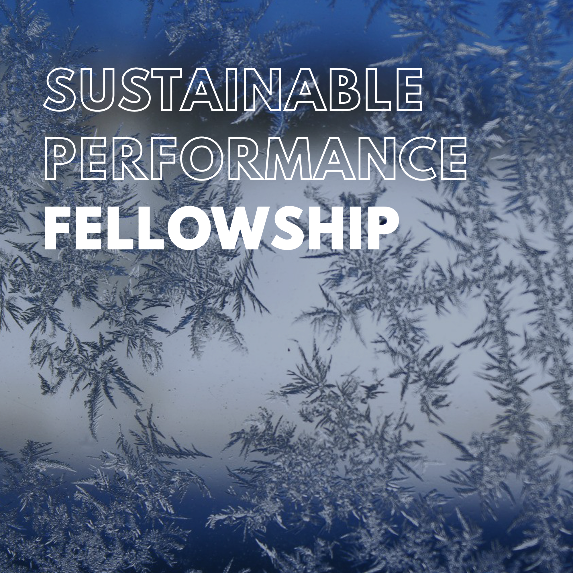 Sustainable Performance Fellowship