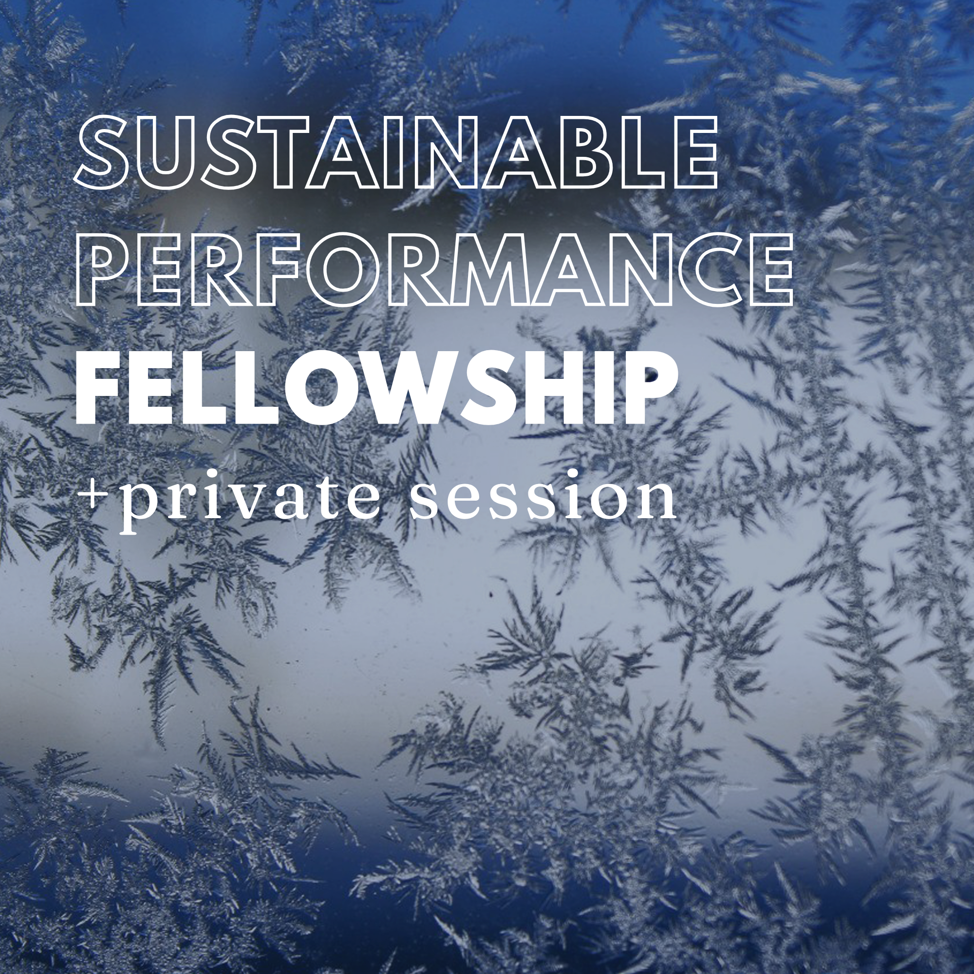 Sustainable Performance Fellowship (includes private session)