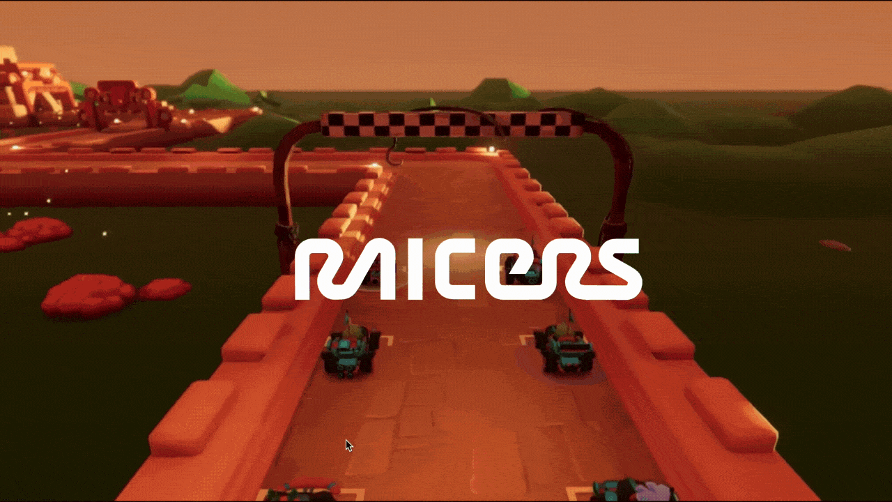 Raicers