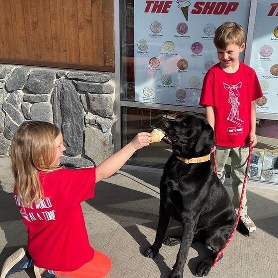 Rosie, Jackson and Hutch enjoying ice cream on a hot summer day!🍦🍦🍨🍨🍨🍦🍦🍦