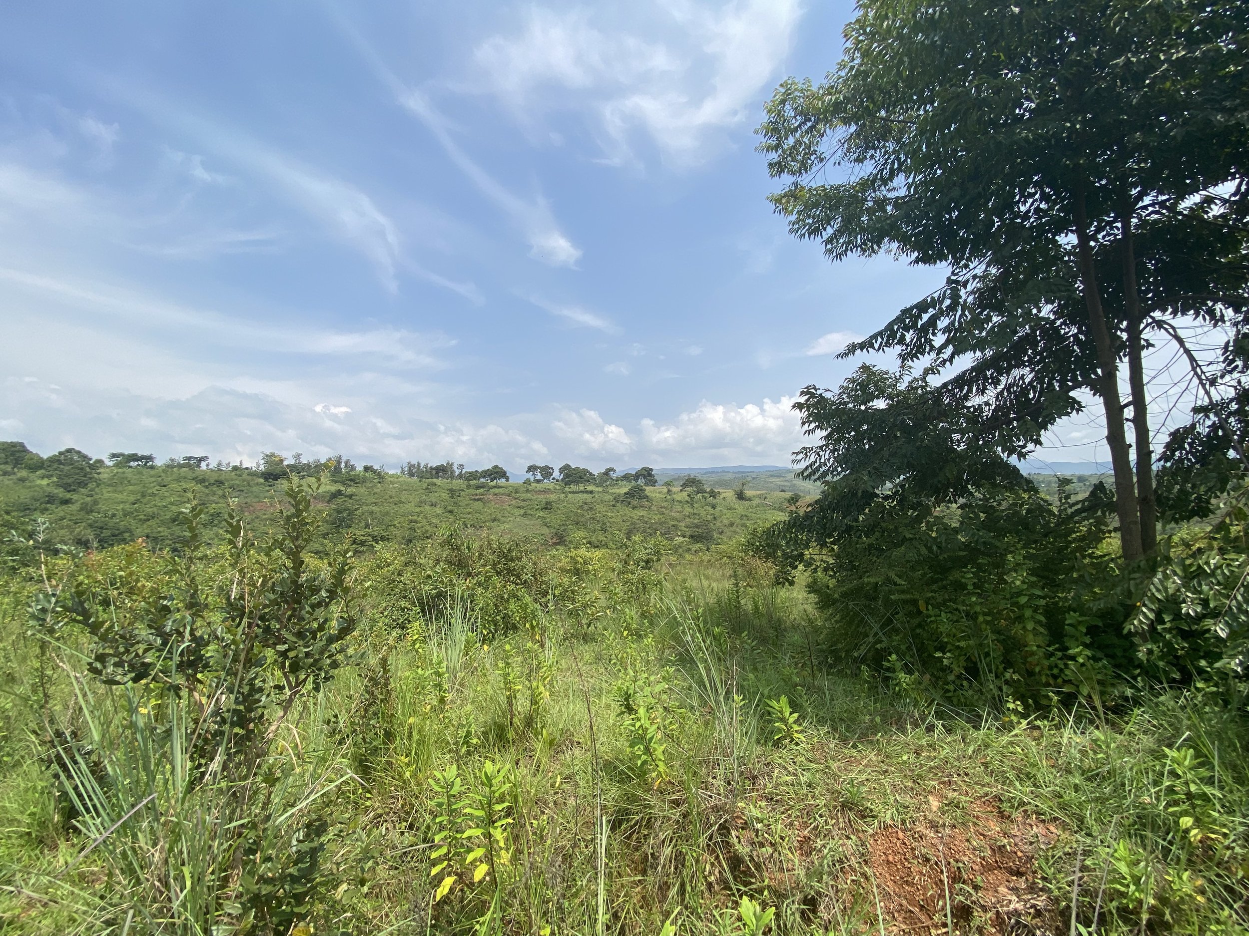 Future home of Remesha Tea Garden Retreat 