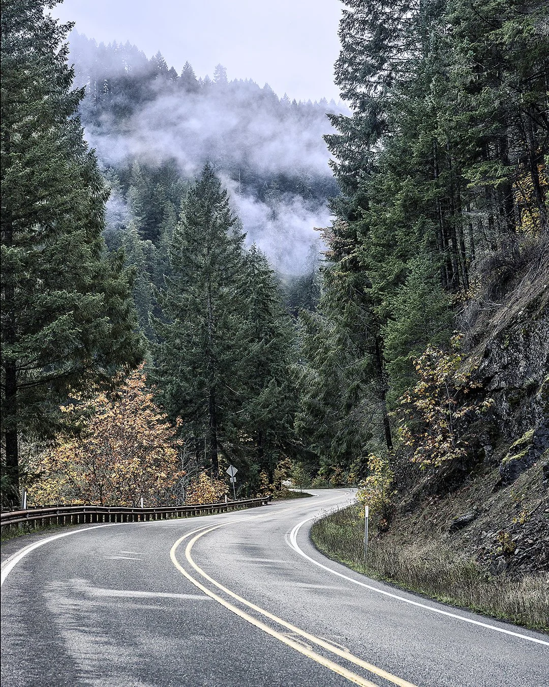 A Look Ahead to 2026