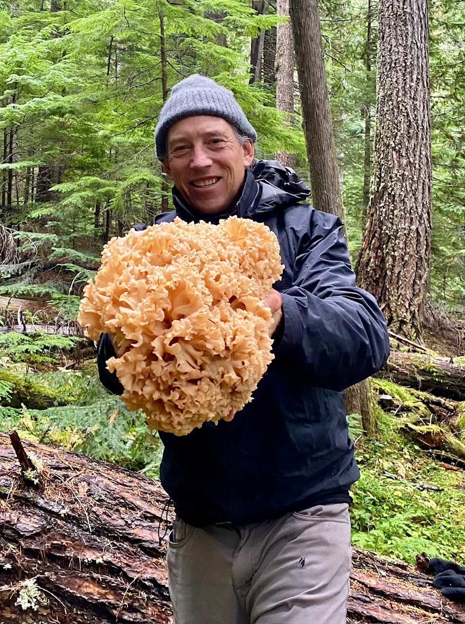 Eat Wild on the Road: Foraging Tips from Langdon Cook