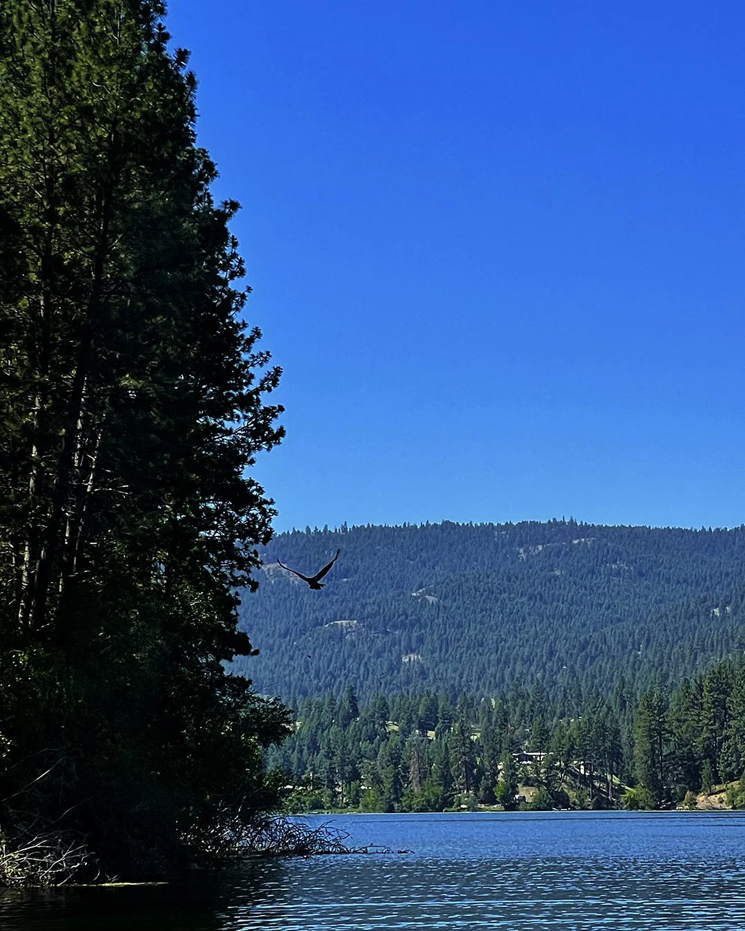 6 Washington Lakes Every RVer Needs to Visit