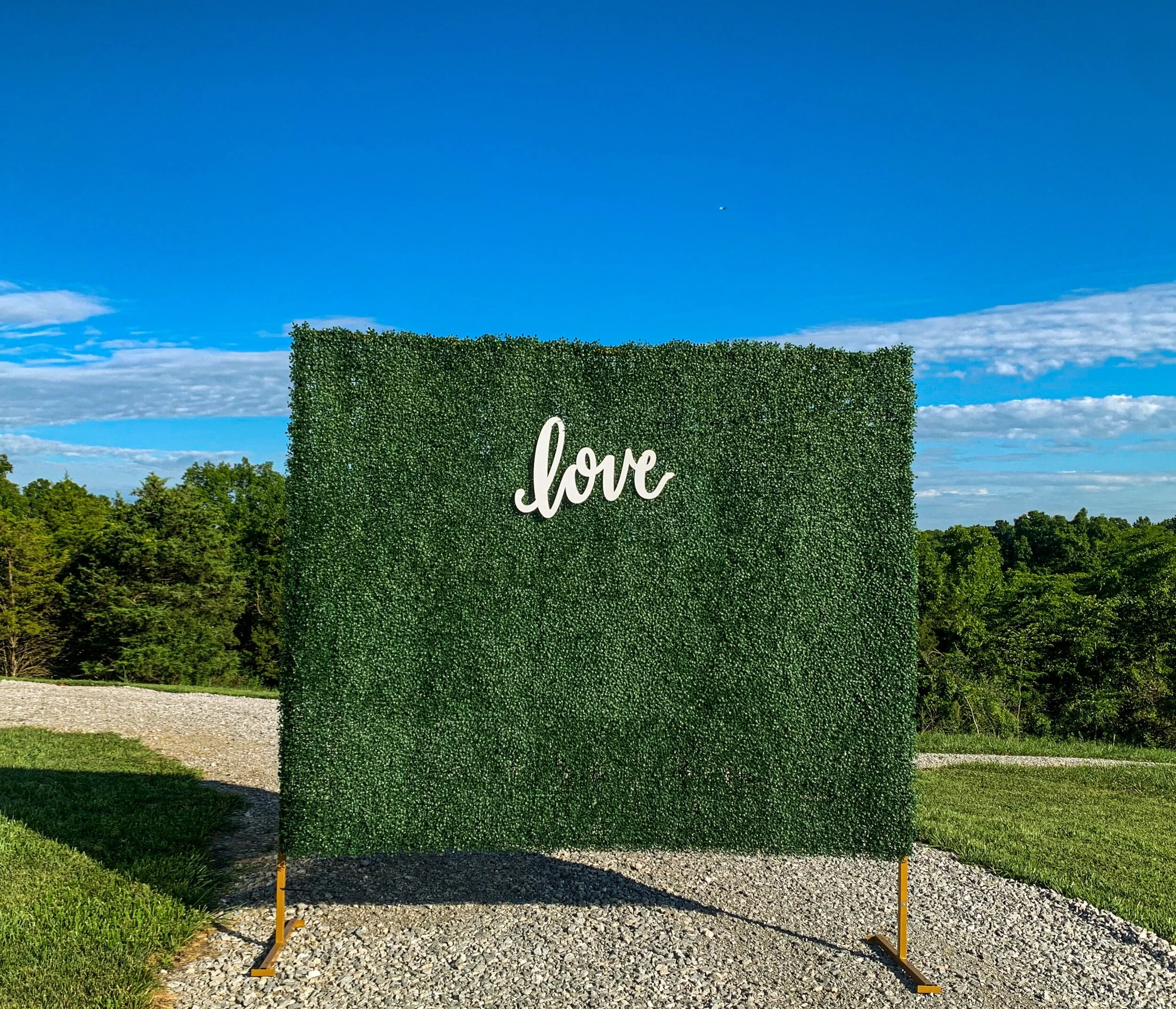 Boxwood greenery wall under blue skies