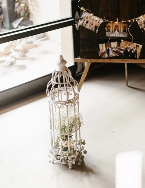 Metal Birdcages