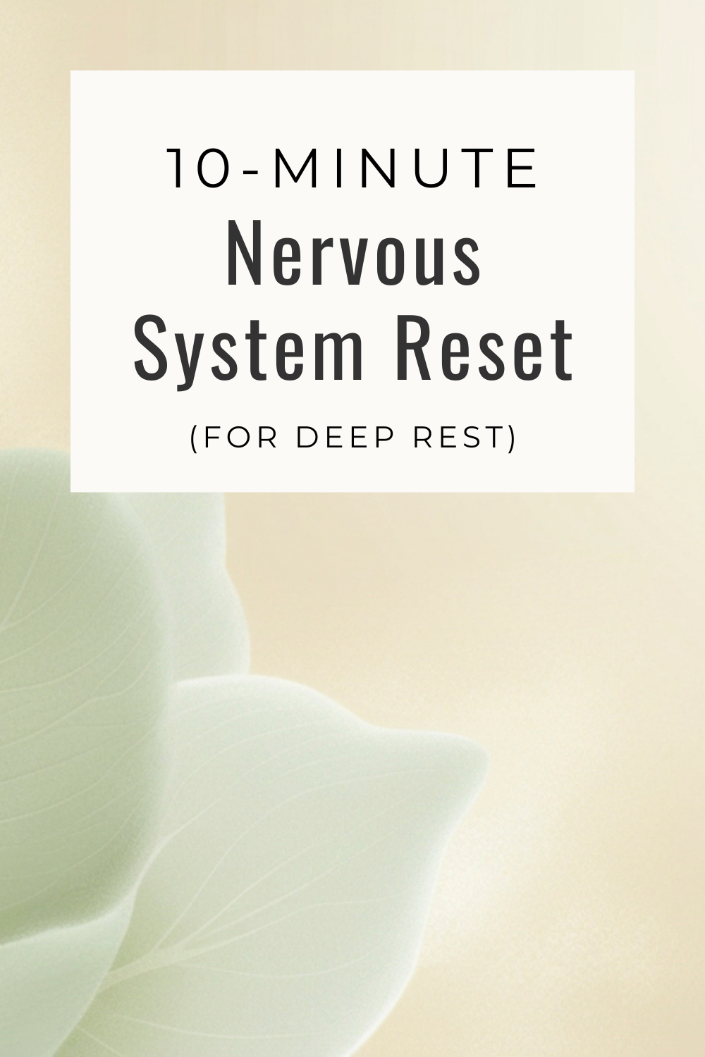 A 10-Minute Nervous System Reset for Deep Rest
