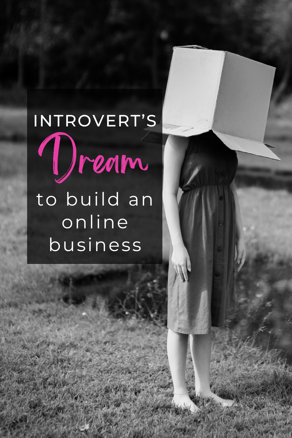 Why Pinterest is Perfect for Introverts Starting an Online Business ...