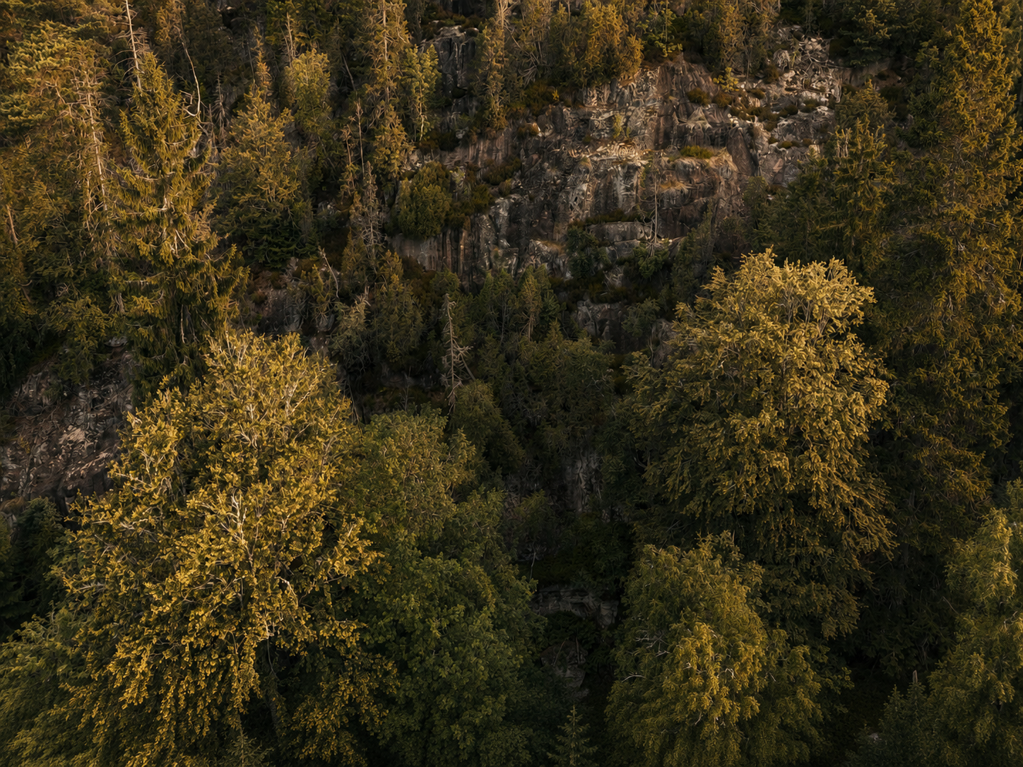 the cliff