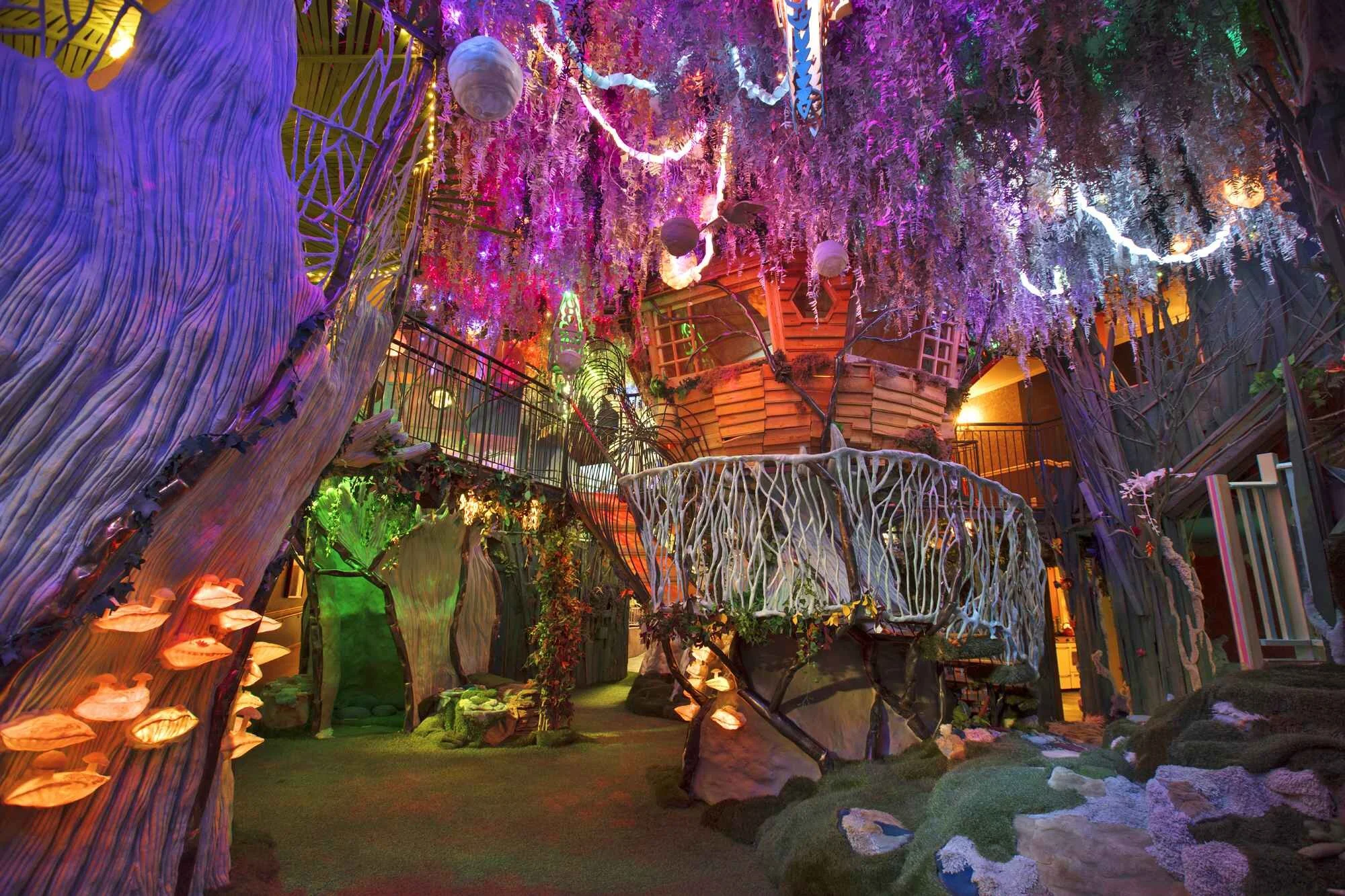 meowwolf.jpg
