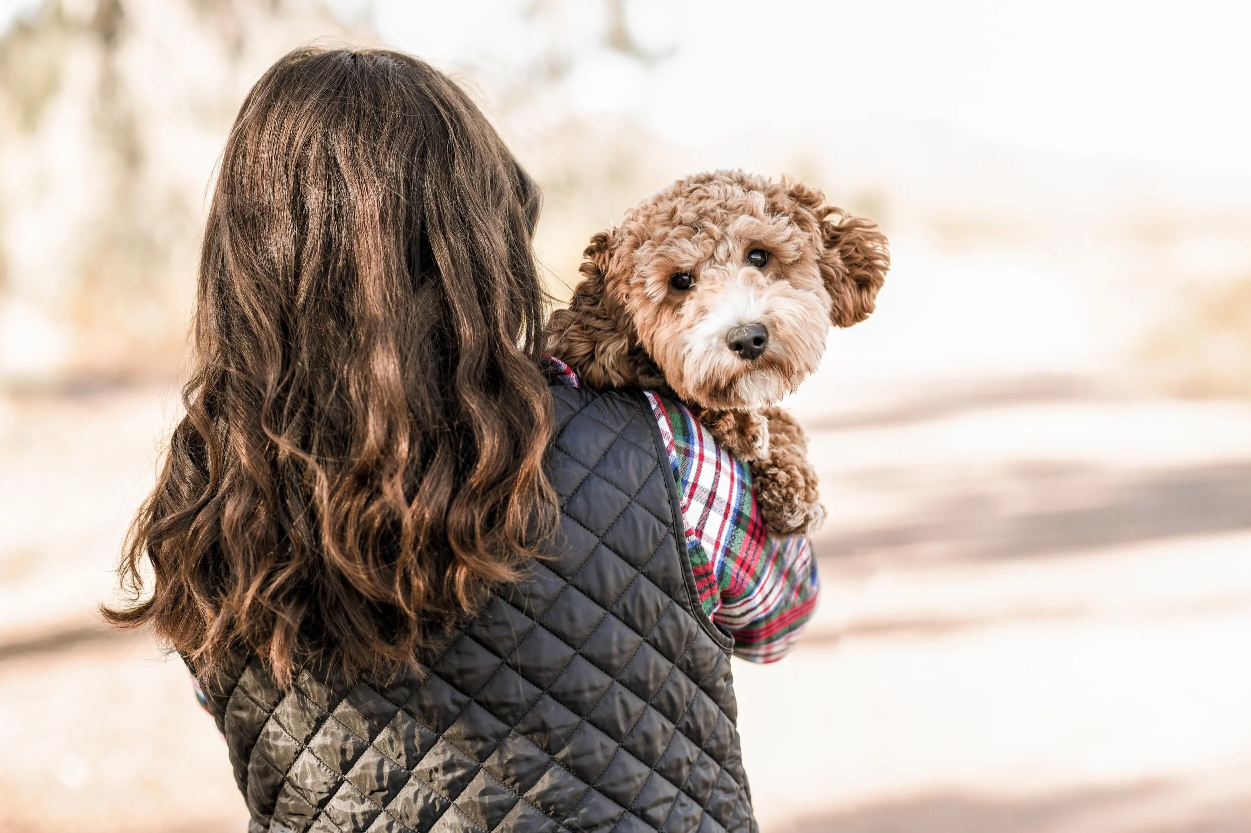 Person with long wavy hair holding a small, curly-haired dog wearing a plaid shirt outdoors.