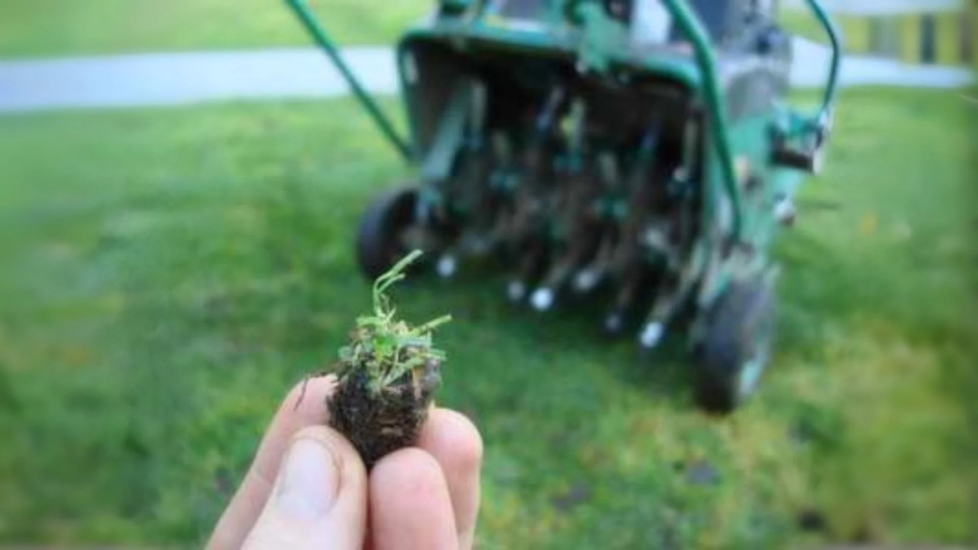 Revitalizing Your Lawn: The Aeration Process and Its Benefits in the Pacific Northwest