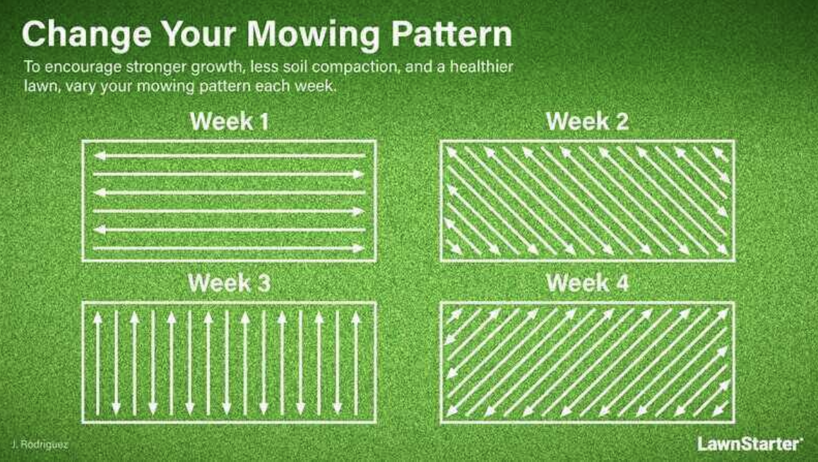 Mastering Lawn Mowing in the Pacific Northwest: Tips for a Lush, Healthy Yard.