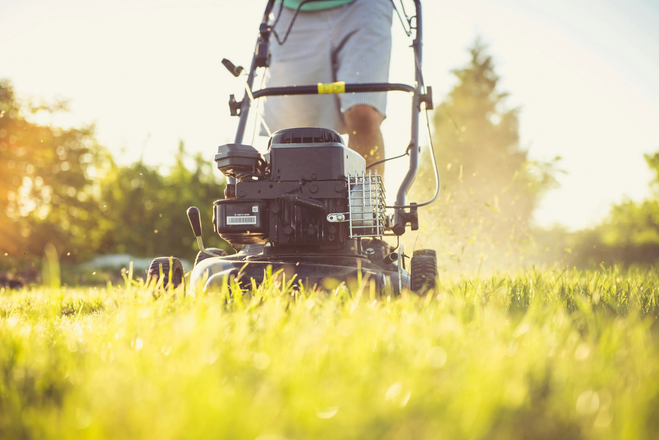 Spring is Coming: Is Your Lawn Ready for Its First Mow?