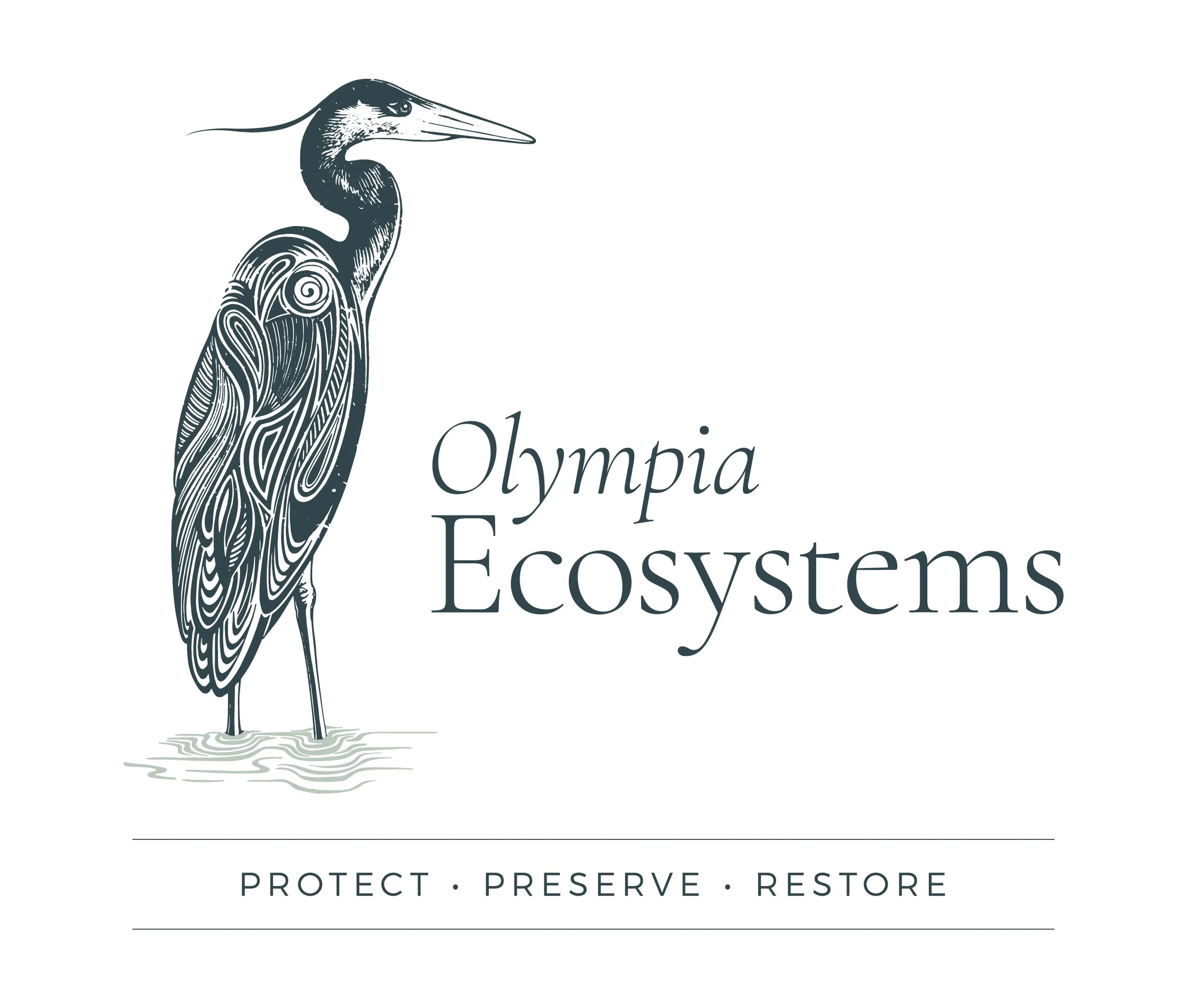Olympia Ecosystems - Wolbert’s Environmental Partner