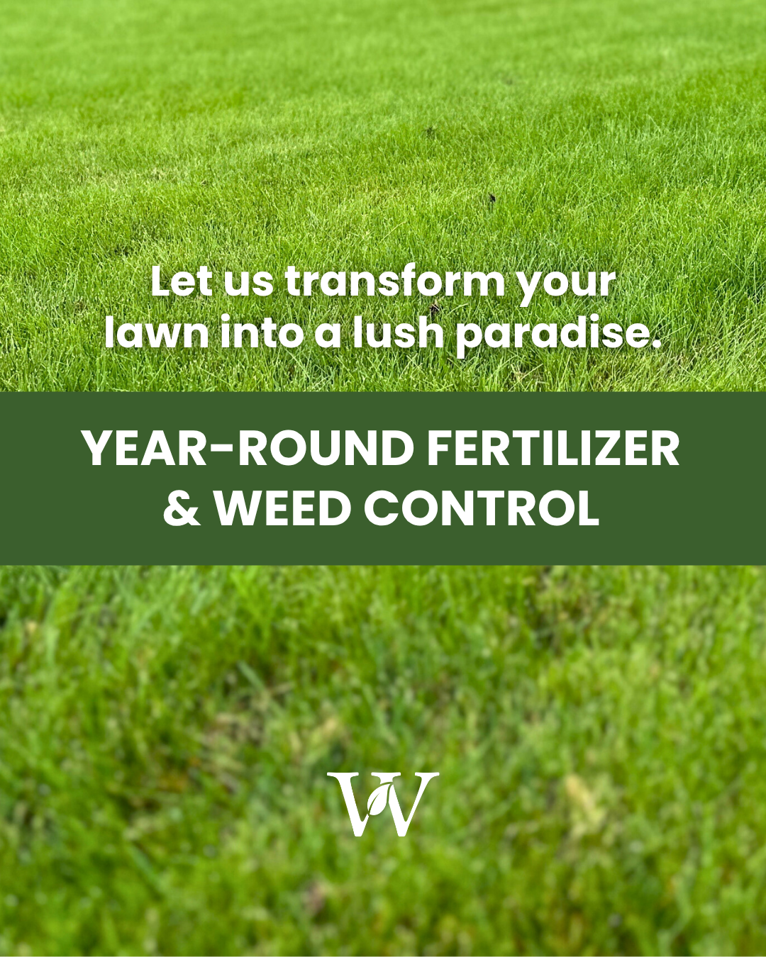 Why Your South Sound Lawn Needs a Year-Round Fertilizer &amp; Weed Control Program