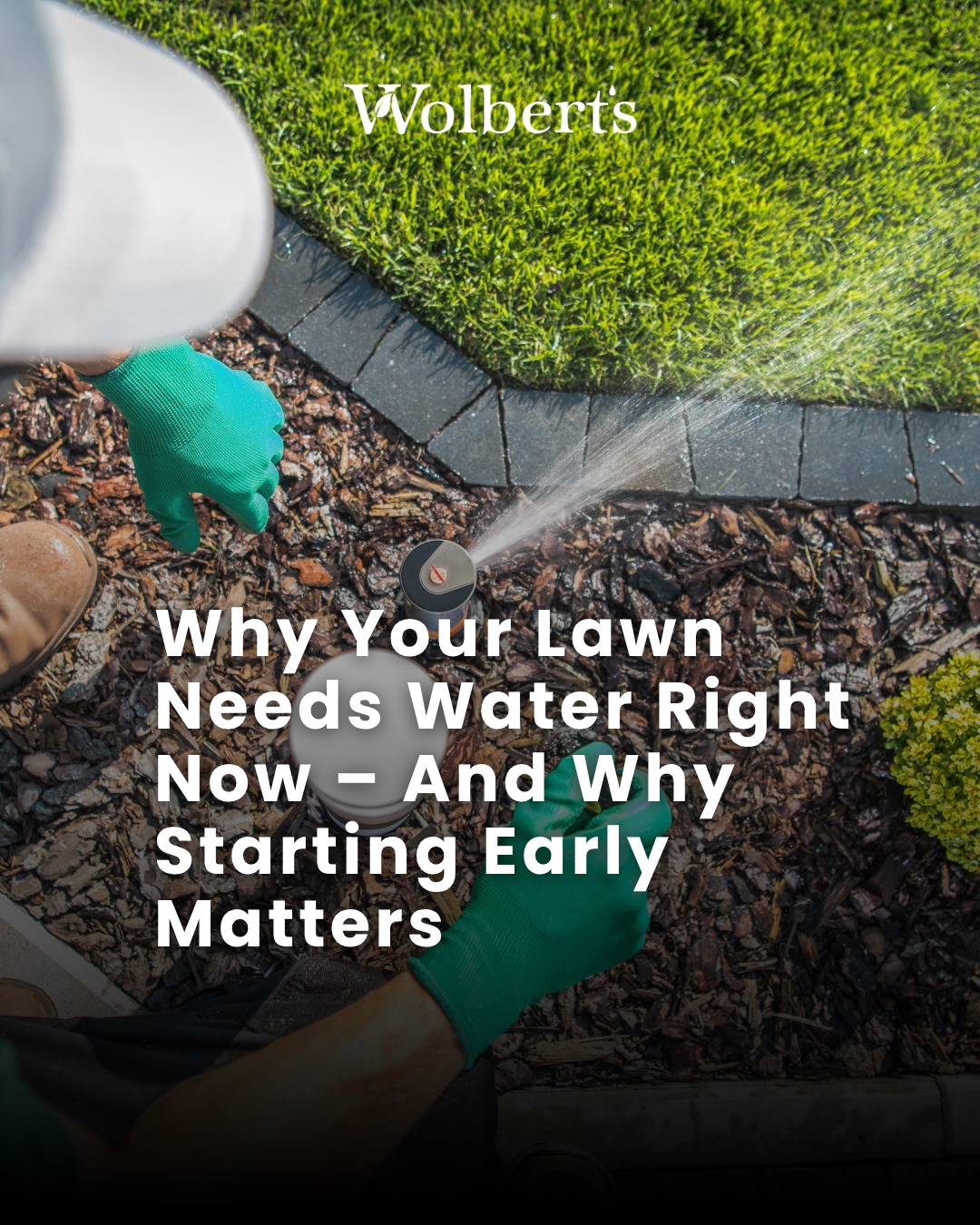 Why Your South Sound Lawn Needs Water Right Now – And Why Starting Early Matters