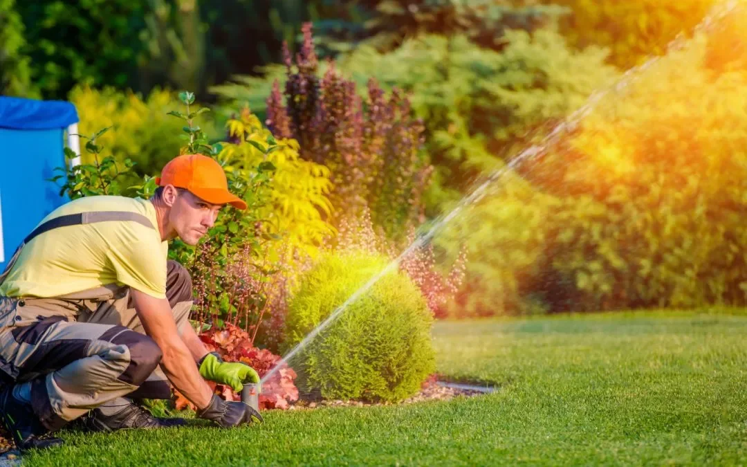 Summer in the Pacific Northwest: Summer Projects can make all the difference!