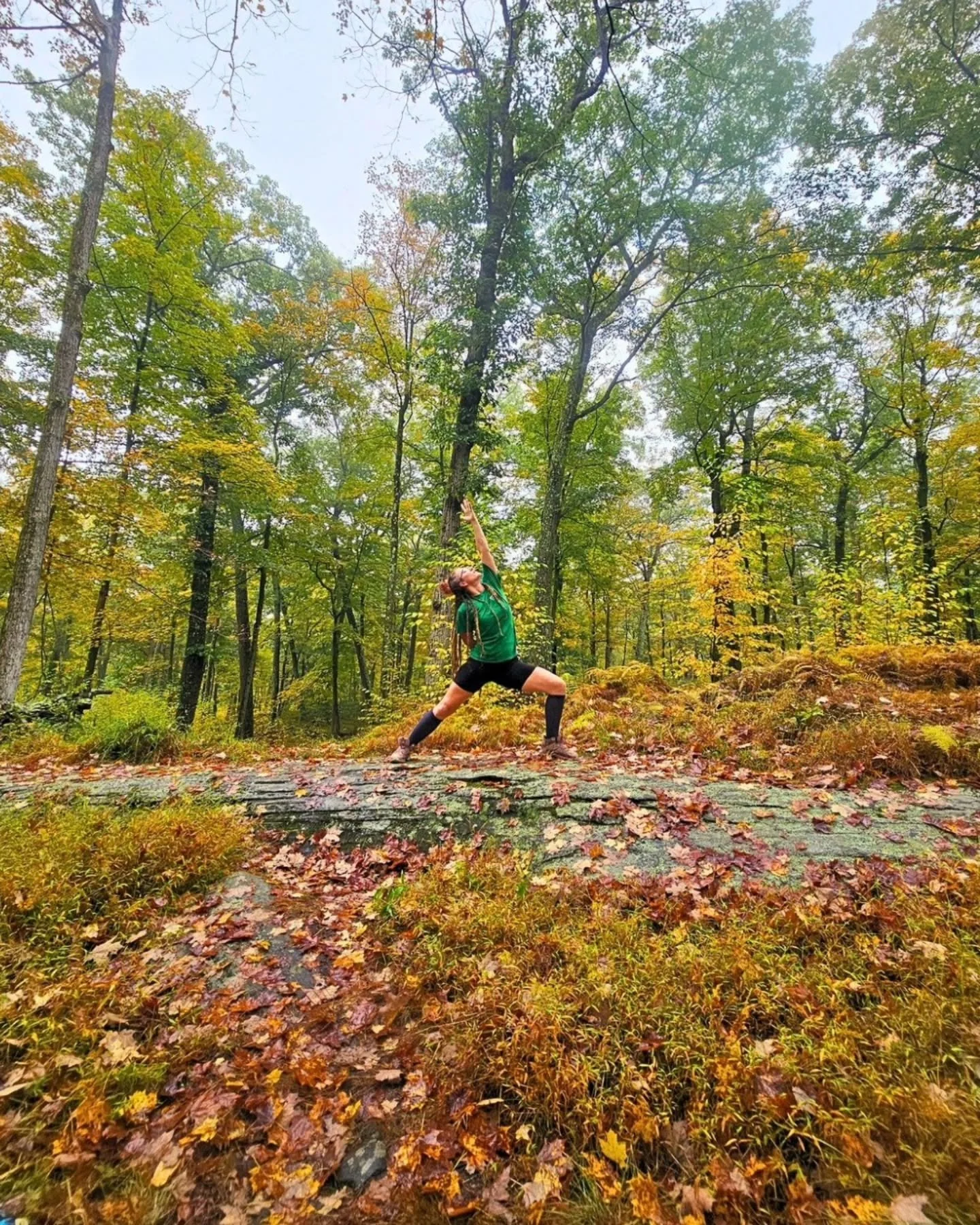 As the season shifts, let your practice be your anchor. Returning to yourself again and again🫶🏼

Classes on Sunday 🍂
8am Heated Vinyasa with Sema
945am Slow Flow with Robyn

#seasonshift #yoga #return