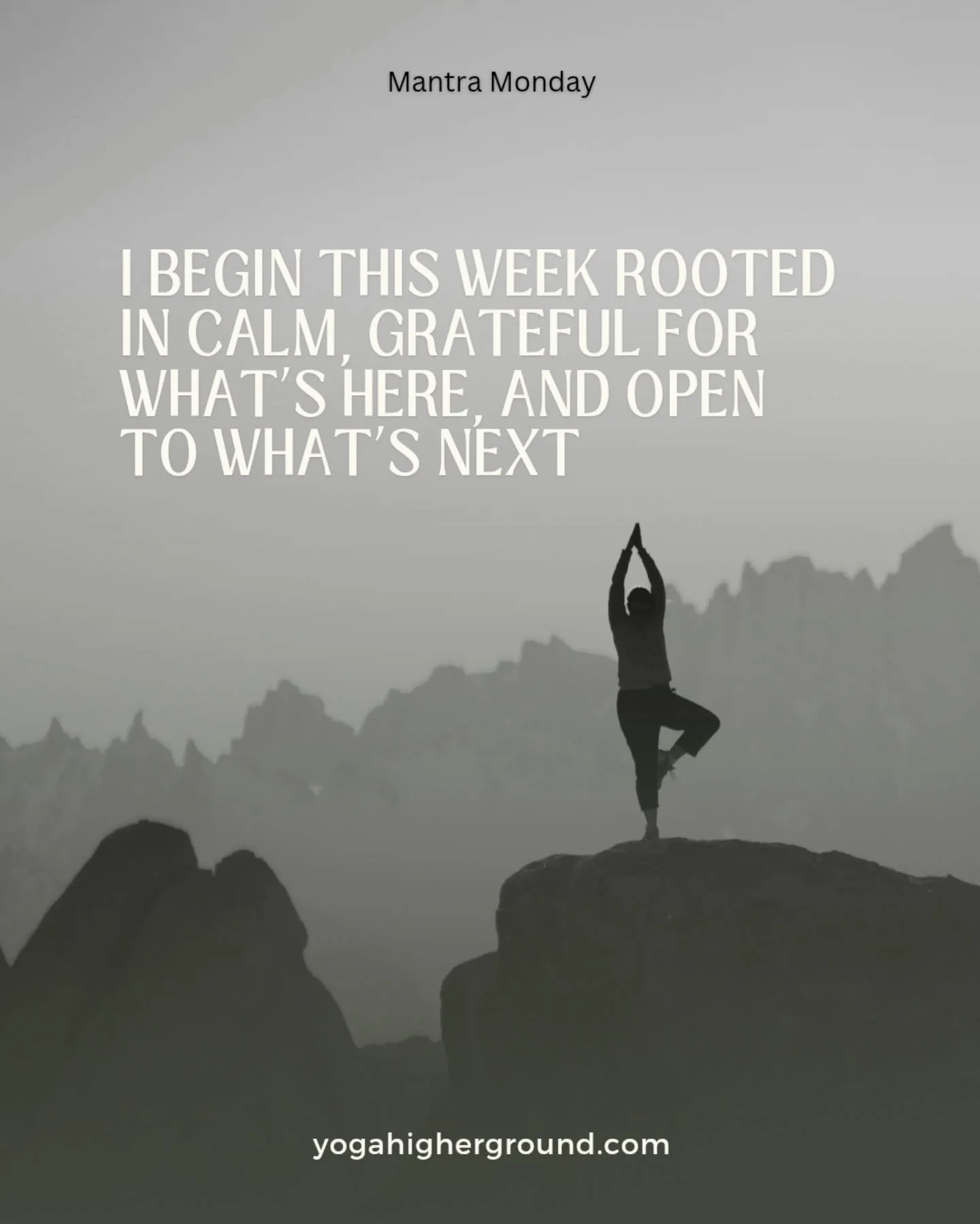 I begin this week rooted in calm, grateful for what&rsquo;s here, and open to what&rsquo;s next!🌟 

Monday class today:
5pm All-Levels Vinyasa with Cheryl

#mantramonday #grateful #calm #grounded #open