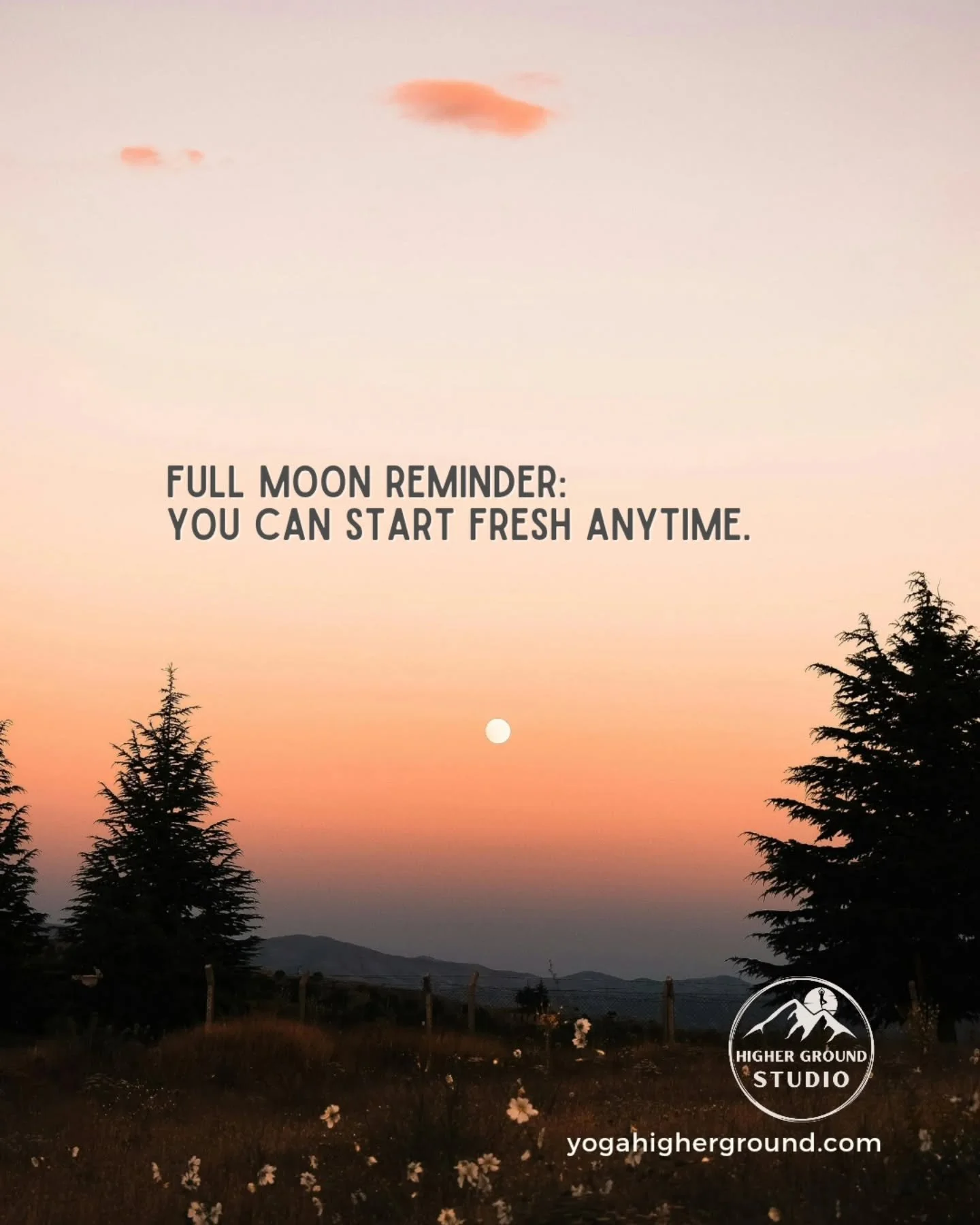 Tonight&rsquo;s full moon rises in the heart of winter &mdash; bright, steady, and impossible to ignore. It&rsquo;s a reminder that even in the coldest seasons, there is light to return to. 🌕

The December moon invites you to pause, breathe, and rel