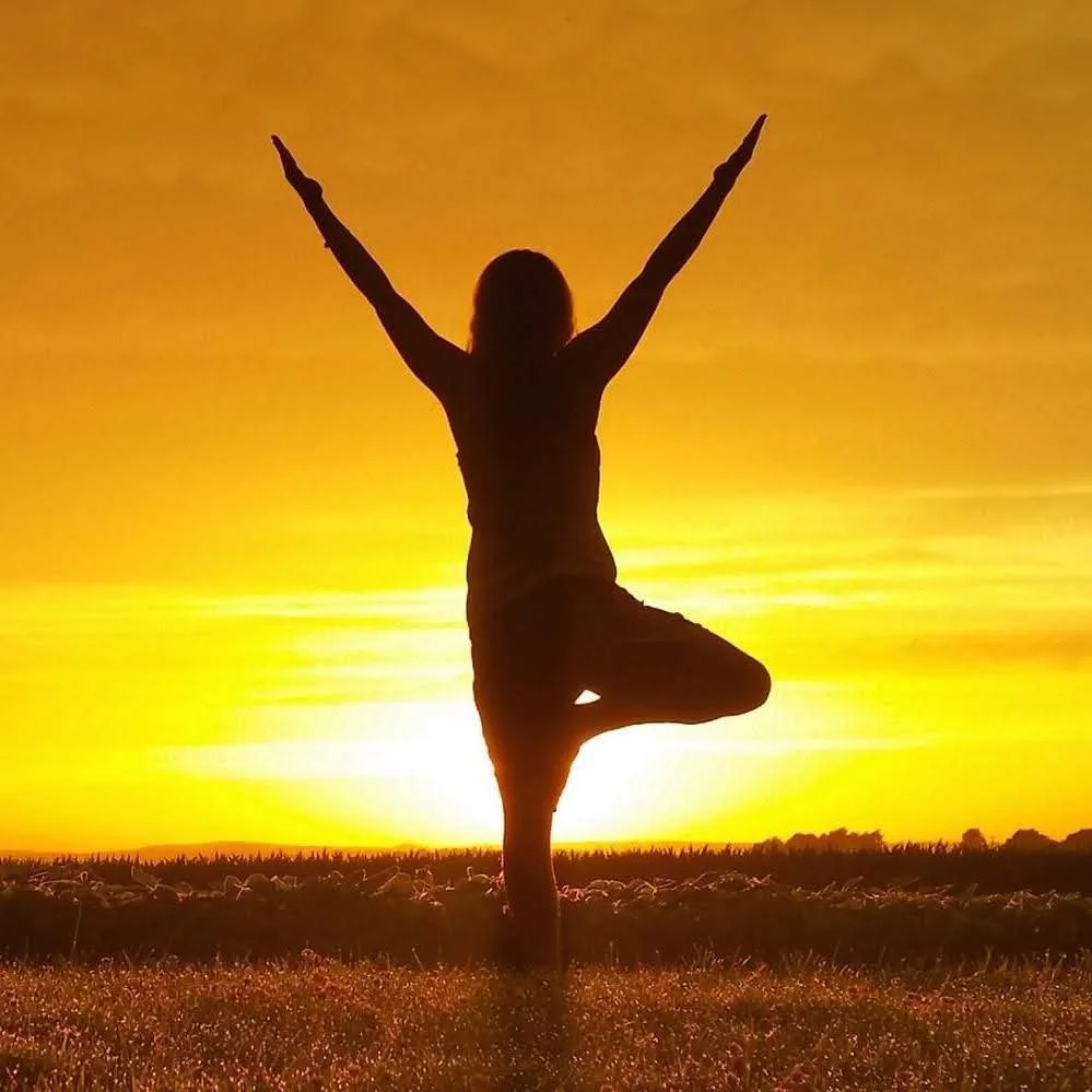 Compassion in Action