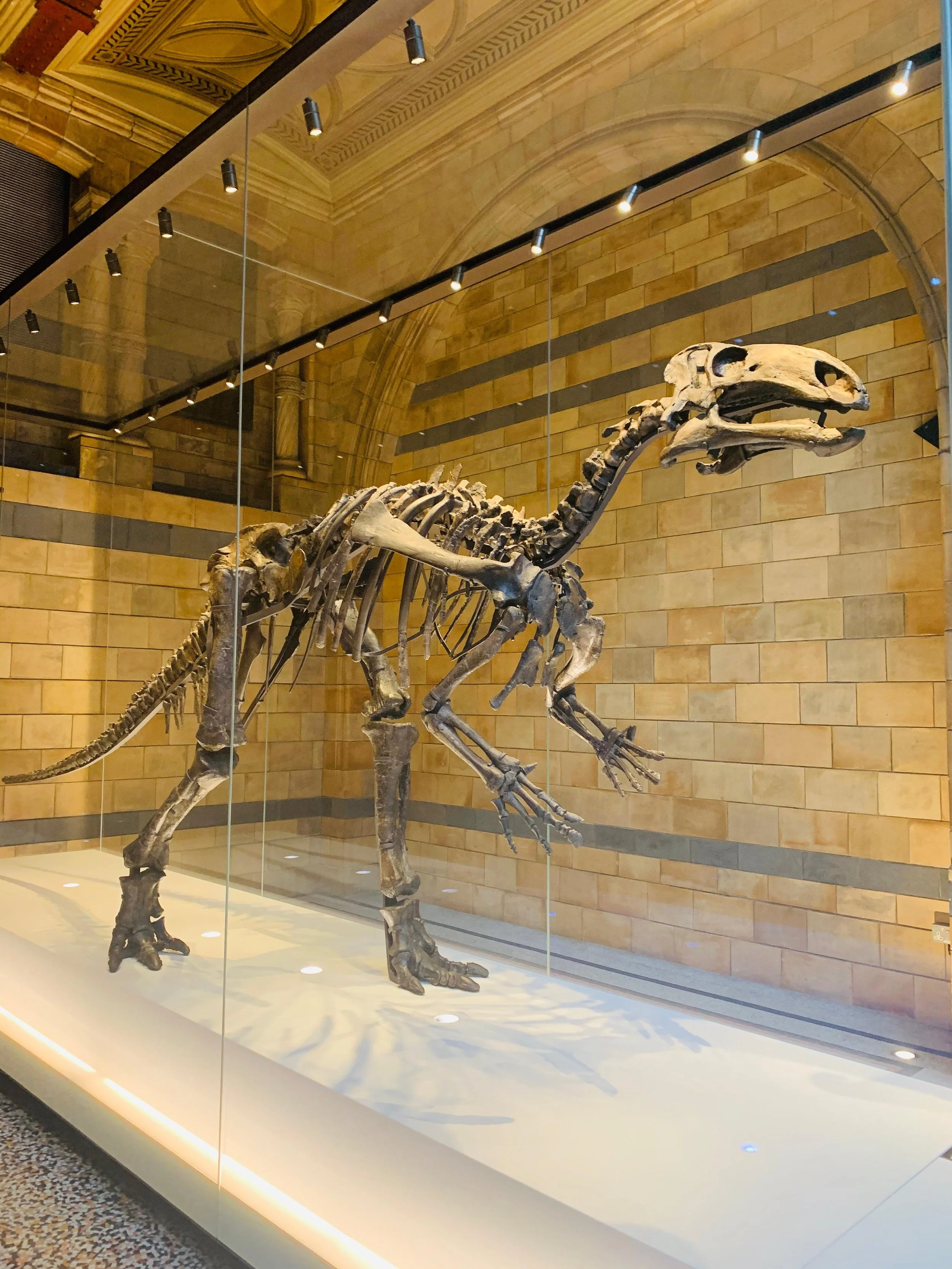 WhatsApp Image 2026-04-02 at 11.44.19 (2).jpeg