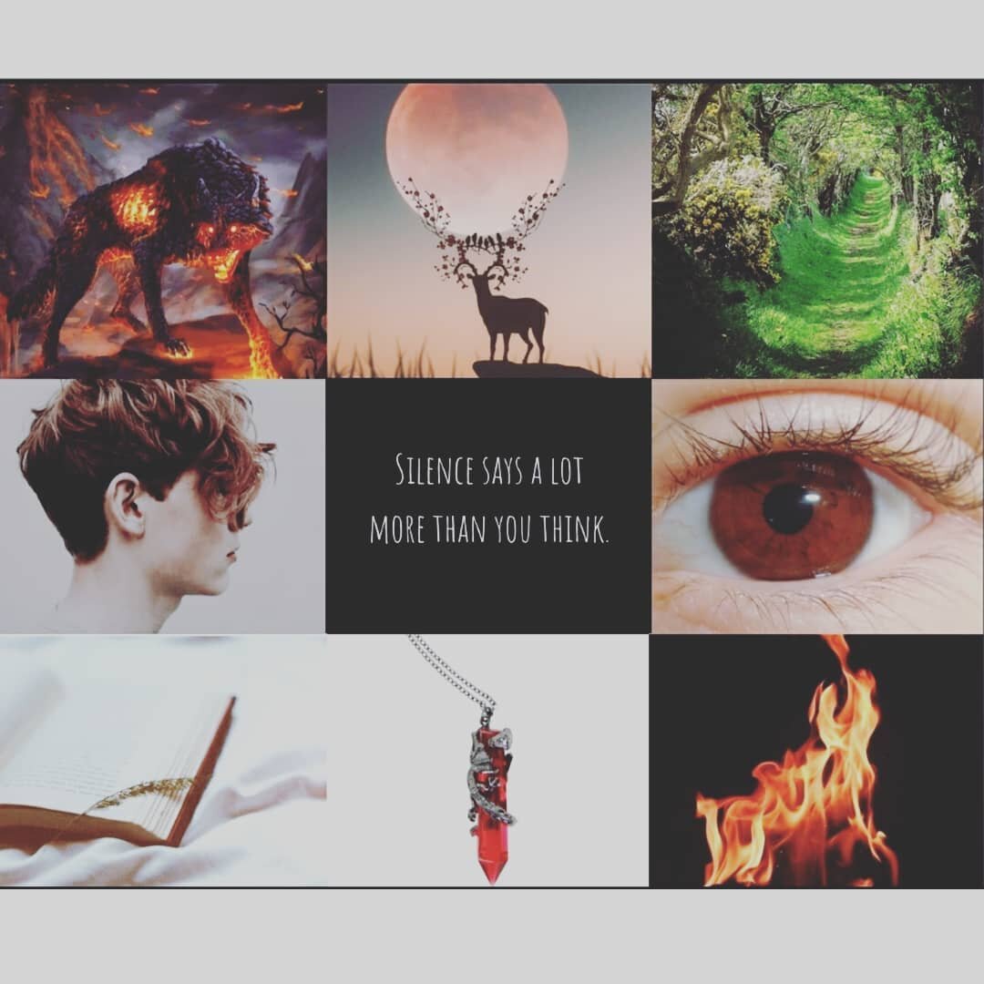 The final set of moodboards for our cast of characters! We have:

Blaze- The strong, silent type who can provide calm, measured input that everyone listens to. Loves nature. Desires peace, but has grown cynical, similar to Luna. He is an Animorph- a 