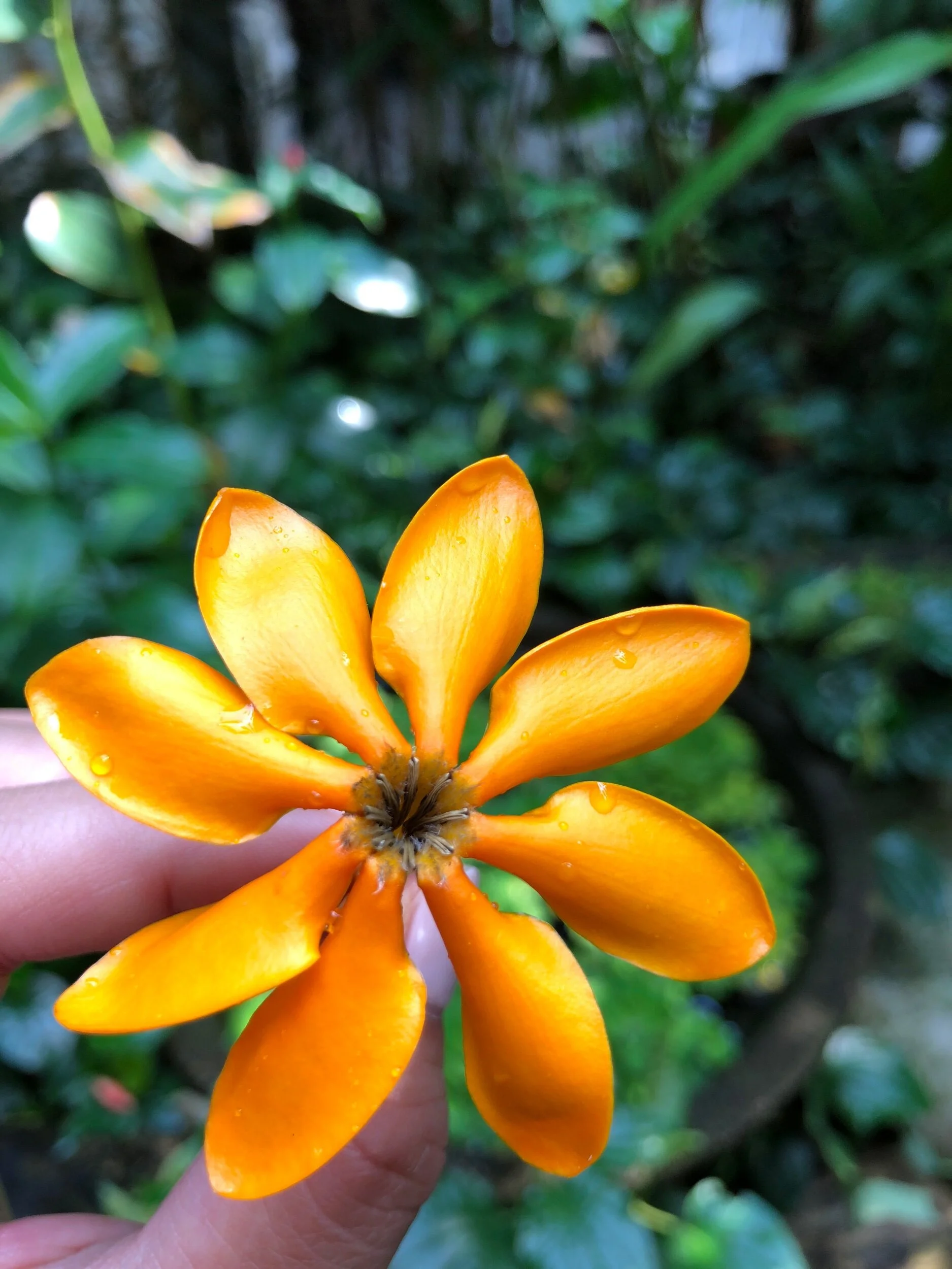 Kuala Lumpur, Malaysia
