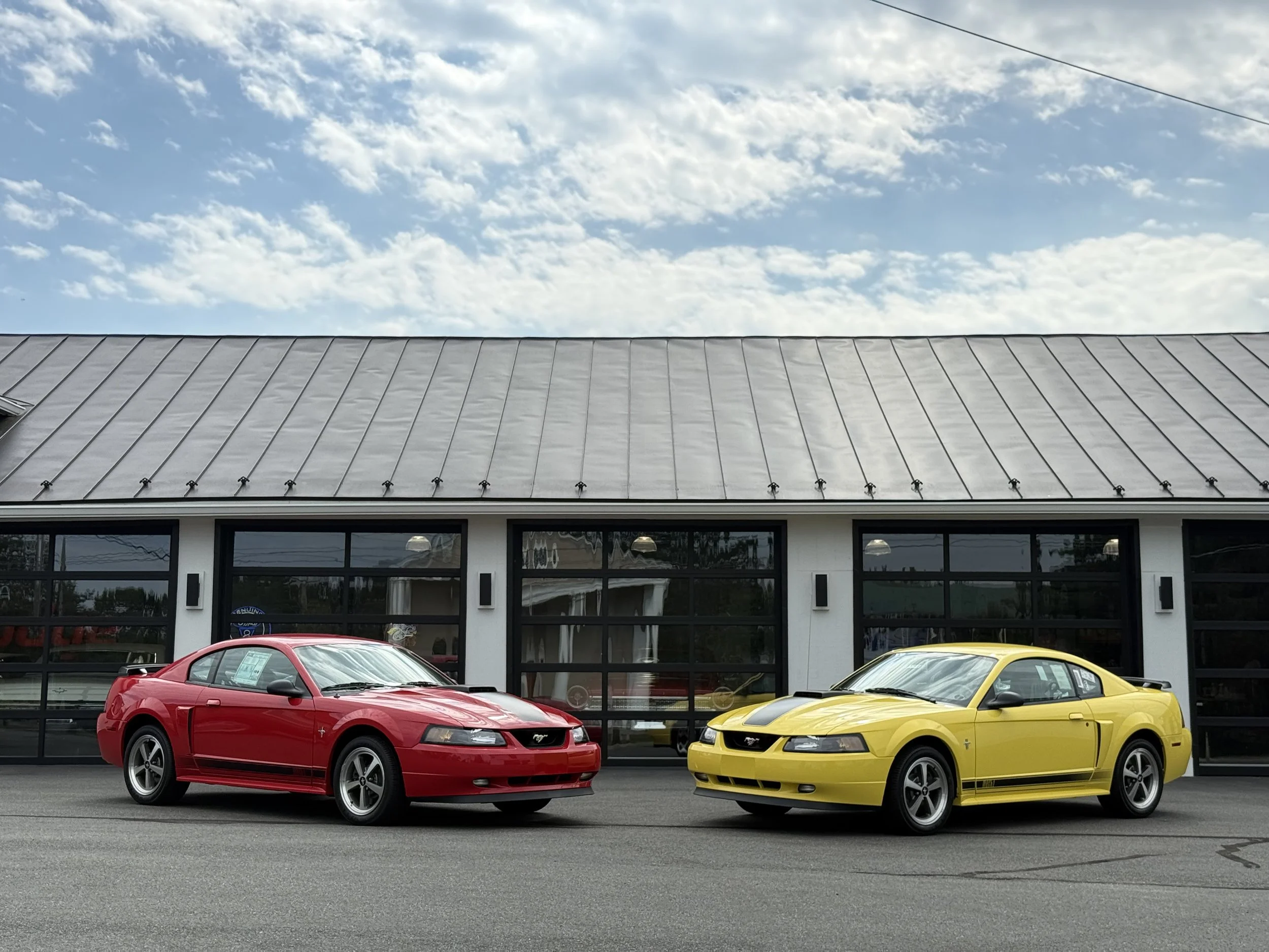 2003 Ford Mustang Mach 1 - Yellow 5828