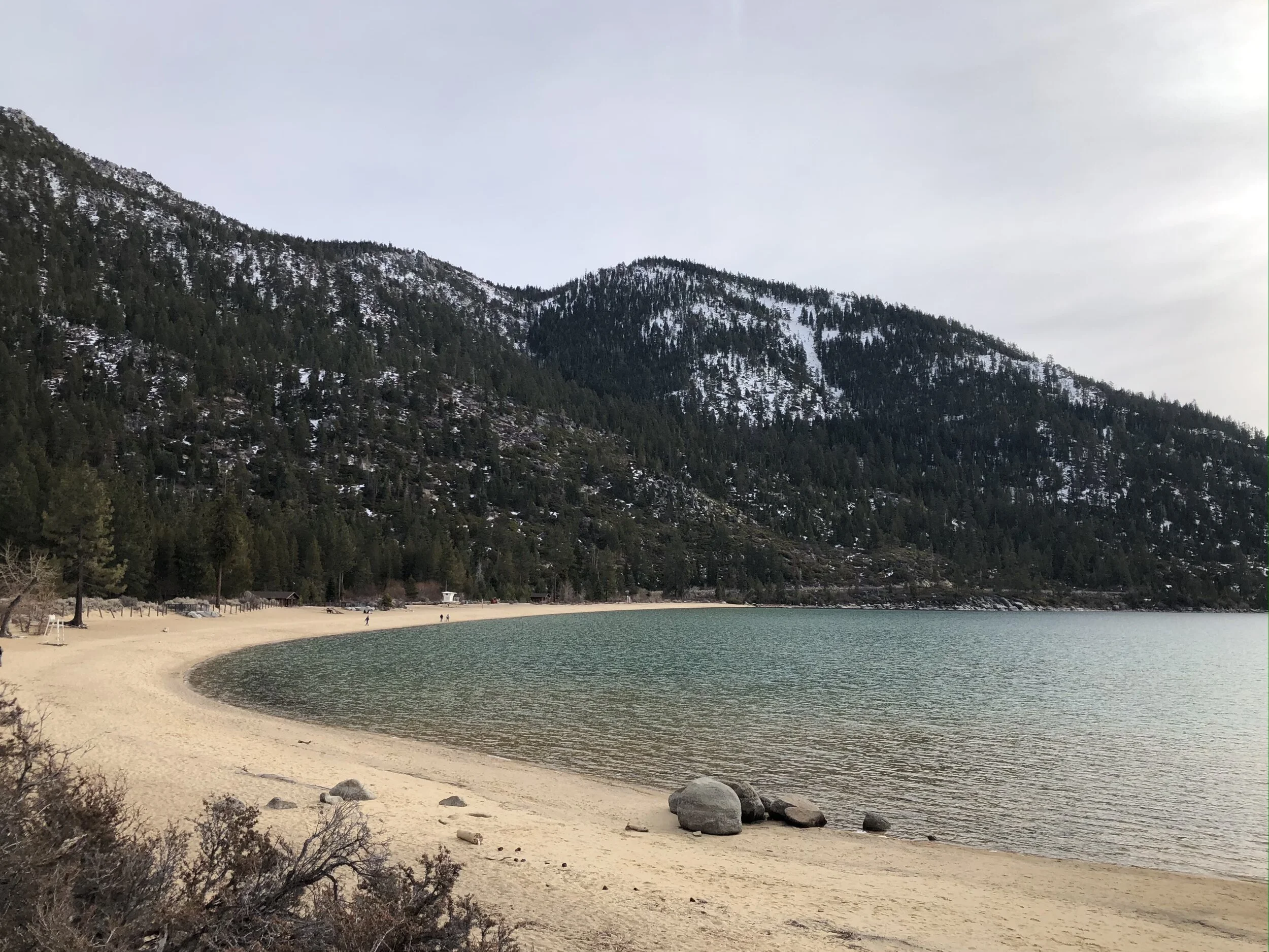 Role and Involvement