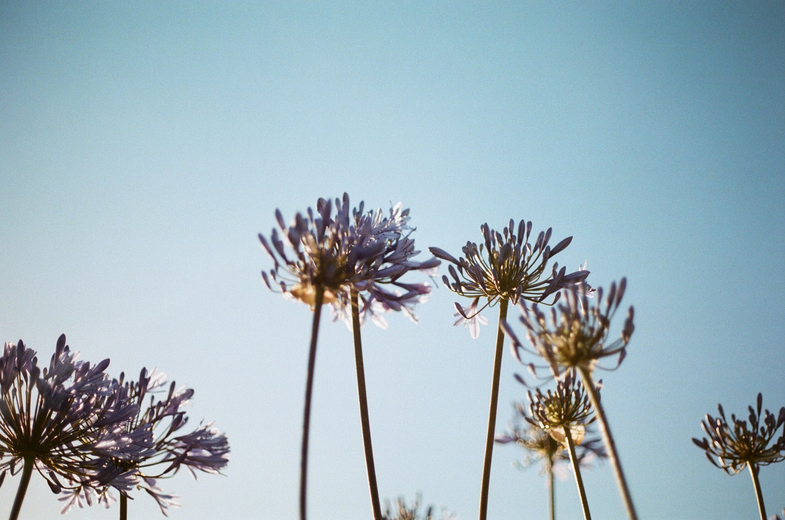 Hopes and Goals for the Future of Outdoors Recreation