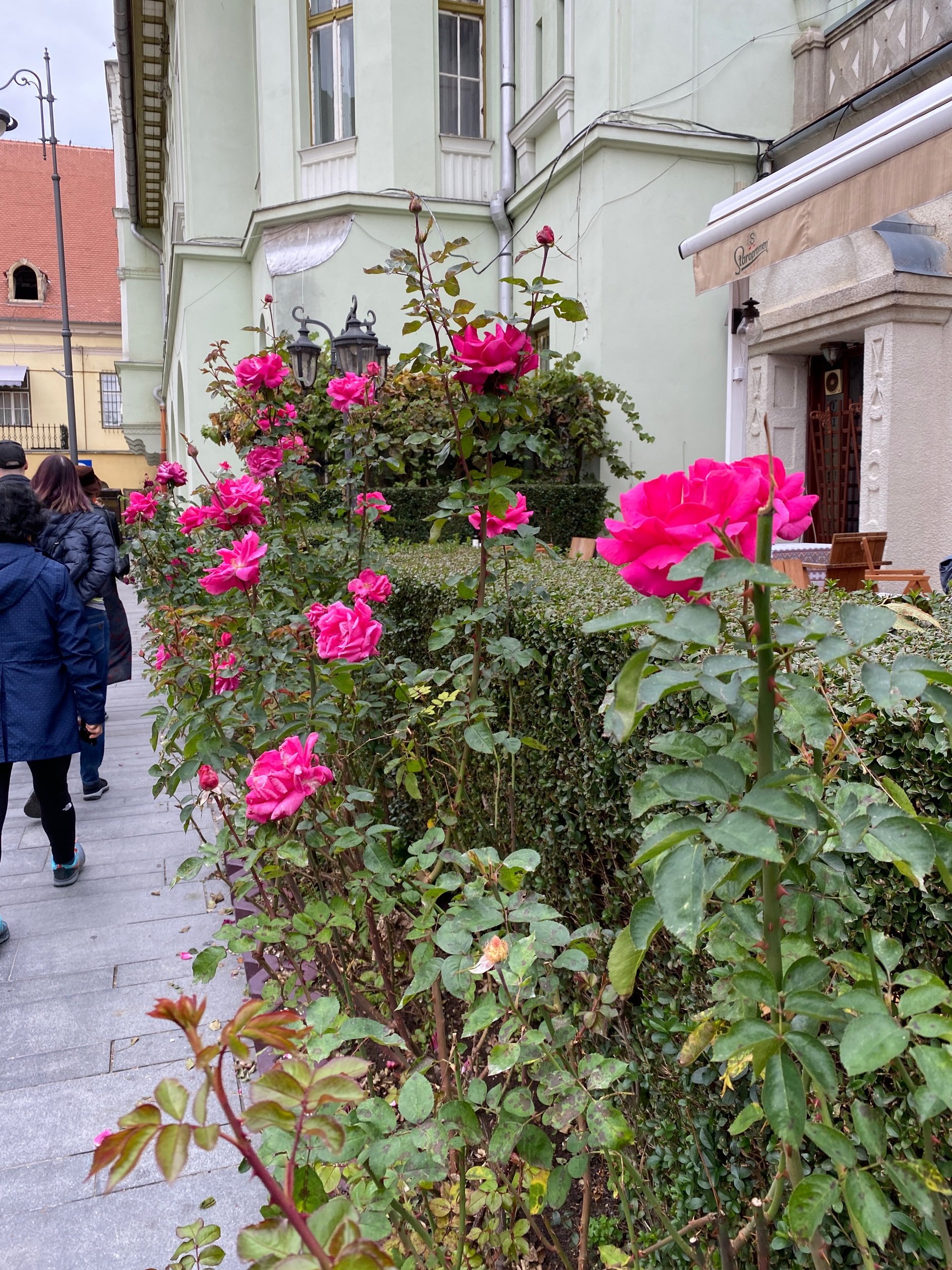 IMG_0776.jpeg