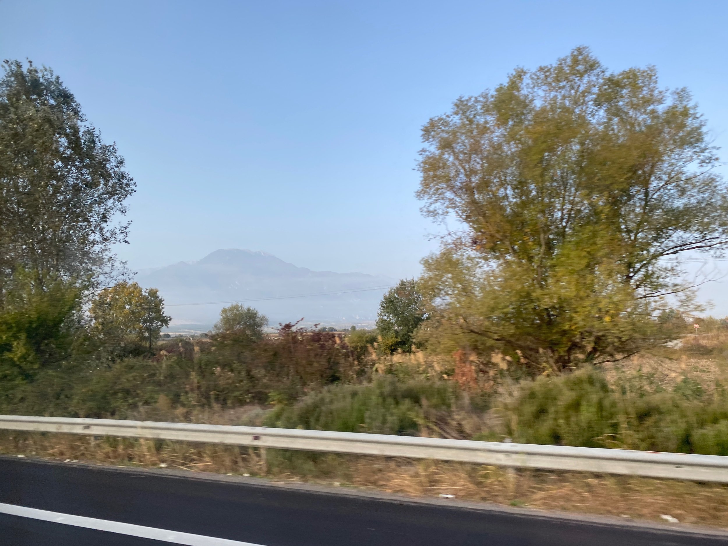 IMG_2877.jpeg