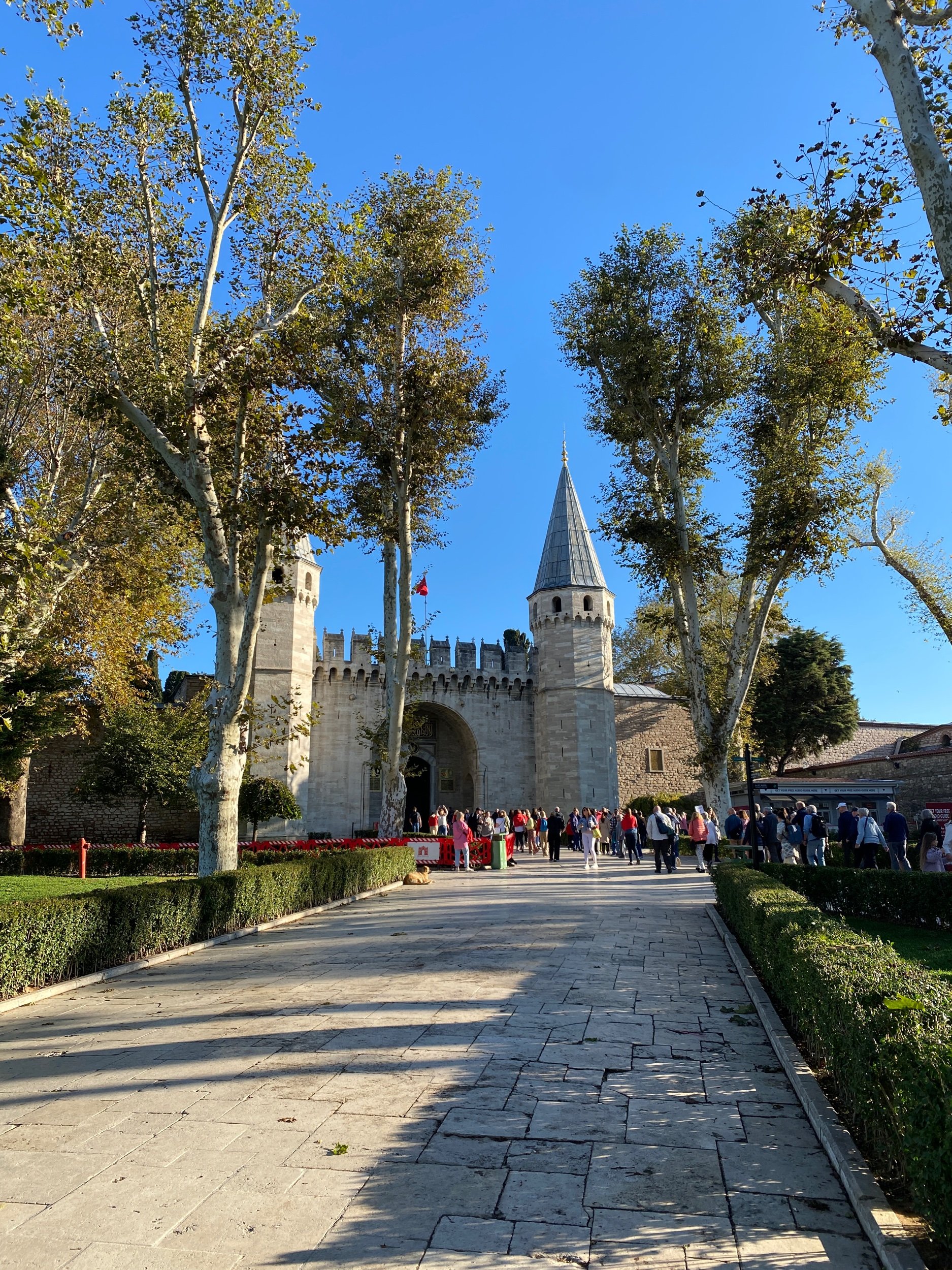 IMG_3548.jpeg