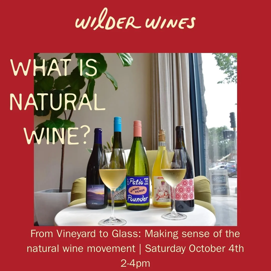 WHAT IS &ldquo;NATURAL WINE?&rdquo;
From vineyard to glass, making sense of the natural wine movement 🍷

You&rsquo;ve probably heard the buzz around &ldquo;natural wine&rdquo; but what does it really mean?

We&rsquo;ll sit down together and explore: