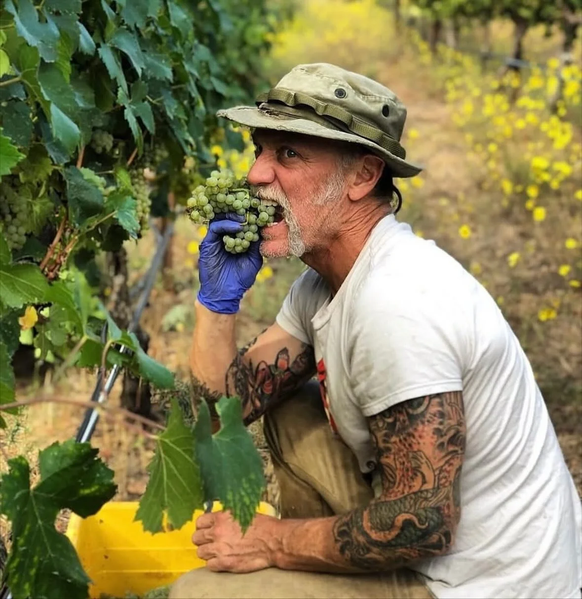 SAVE THE DATE ‼️

We&rsquo;re beyond excited to welcome Mathew Rorick &ndash; the winemaker behind Forlorn Hope Wines since 2005, and the force behind Queen of the Sierra! all the way from California!

🗓️Thursday, October 30th

🍷 Free in-store tast