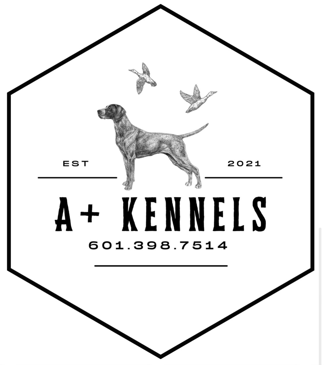 A+ Kennels