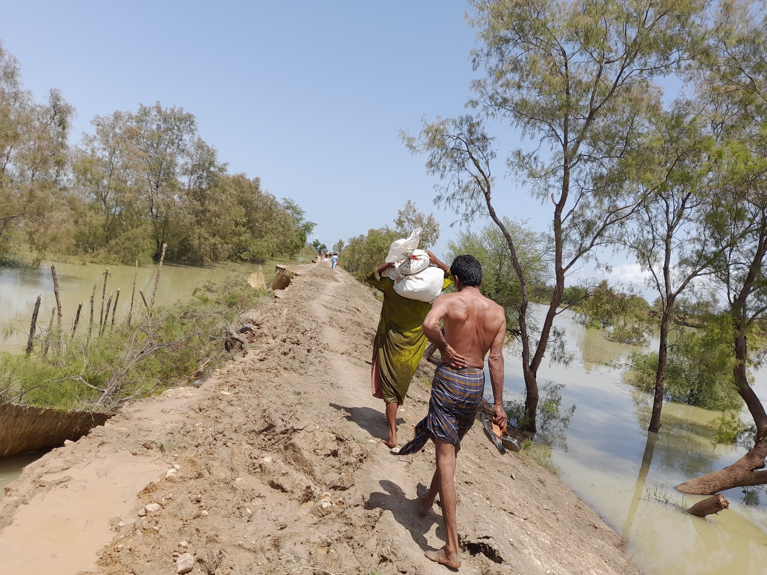 destitute villager, as his home was destoryed returning back to safe place after failing to take out his family_s wheat and rice grains after water level become dangerous.jpg