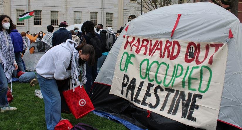 The Harvard Yard encampment was established by the Harvard Out of Occupied Palestine Coalition on April 24th, 2024. Image: Ellen P. Cassidy / The Harvard Crimson