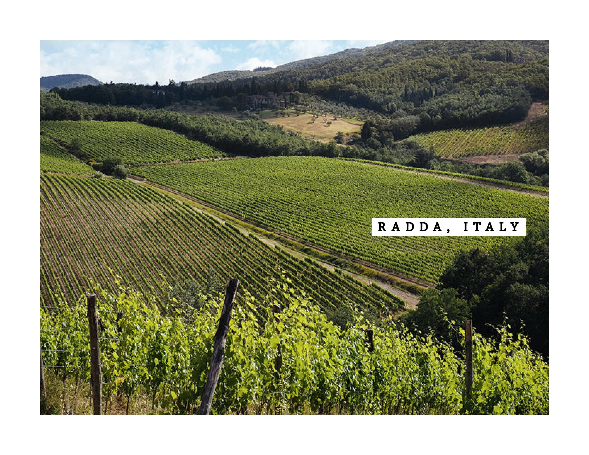 RODDI RADDA BOOK WEBSITE FINAL8.jpg