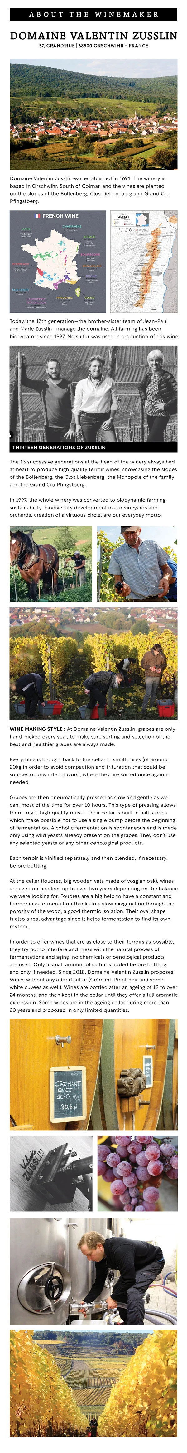 DOMAINE VALENTIN ZUSSLIN_SS2.jpg
