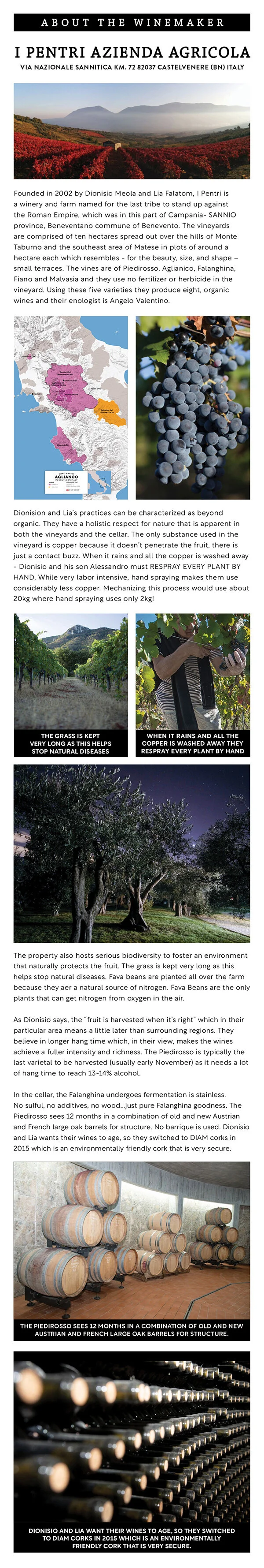 I PENTRI L’AMORE DELLA API FINAL2.jpg