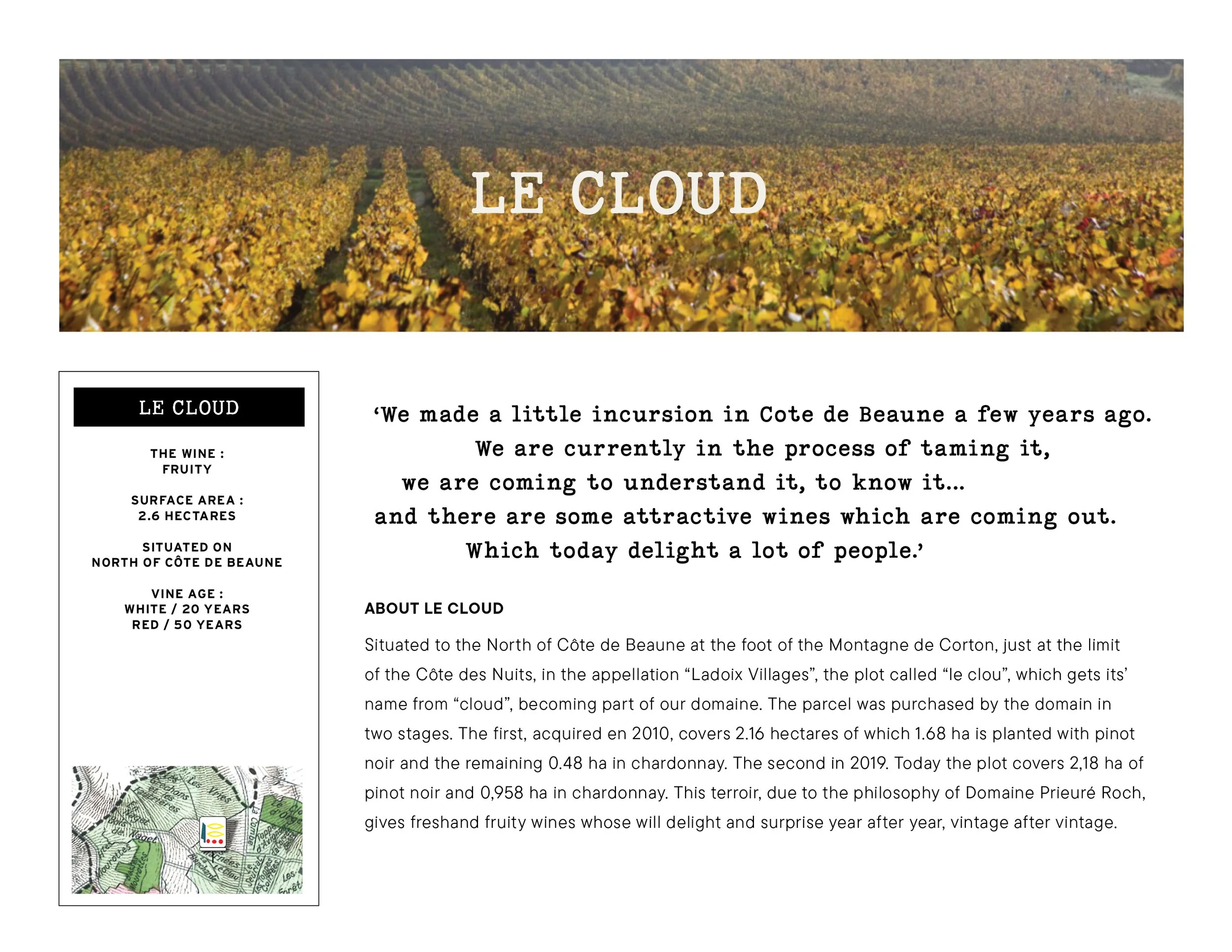 Domaine Prieuré Roch41.jpg