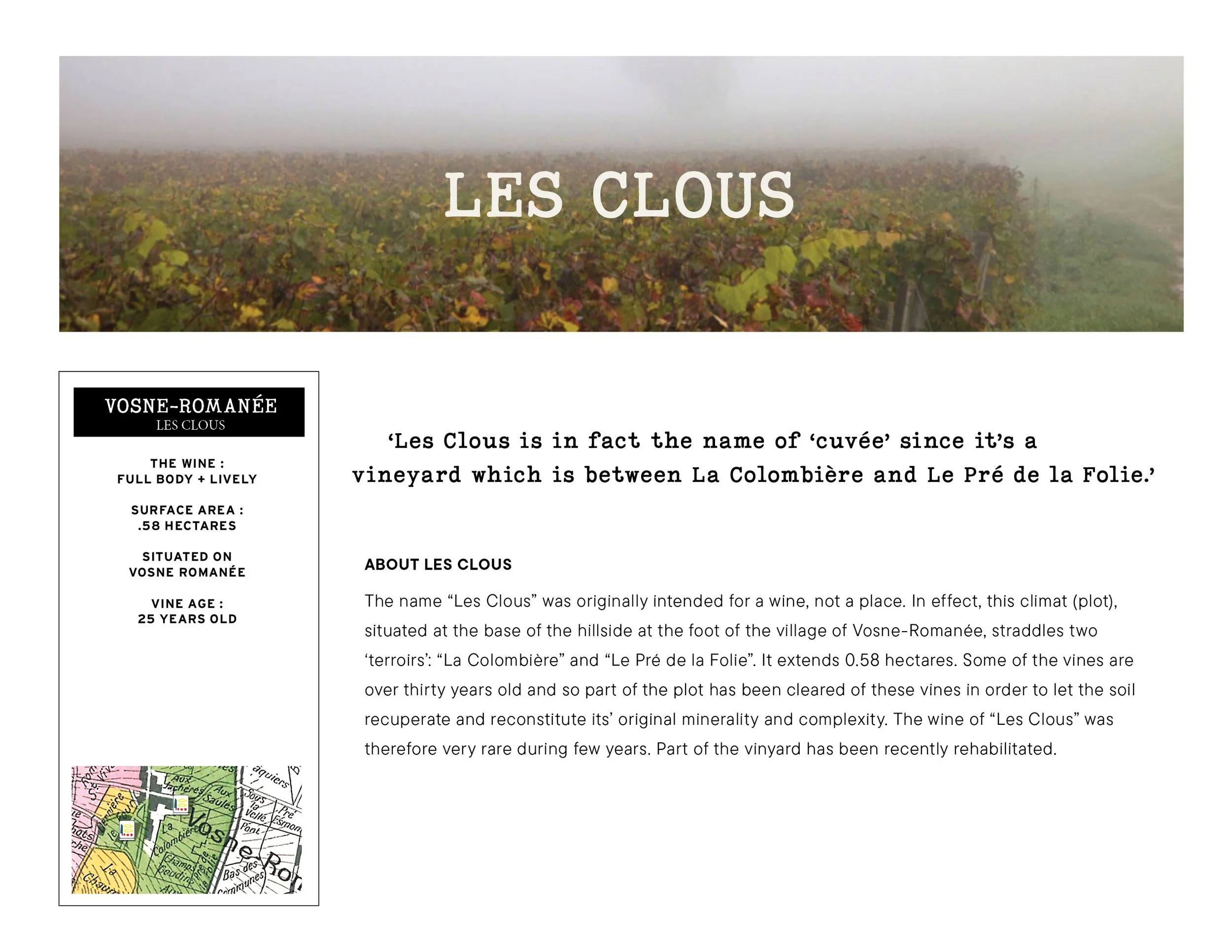 Domaine Prieuré Roch38.jpg