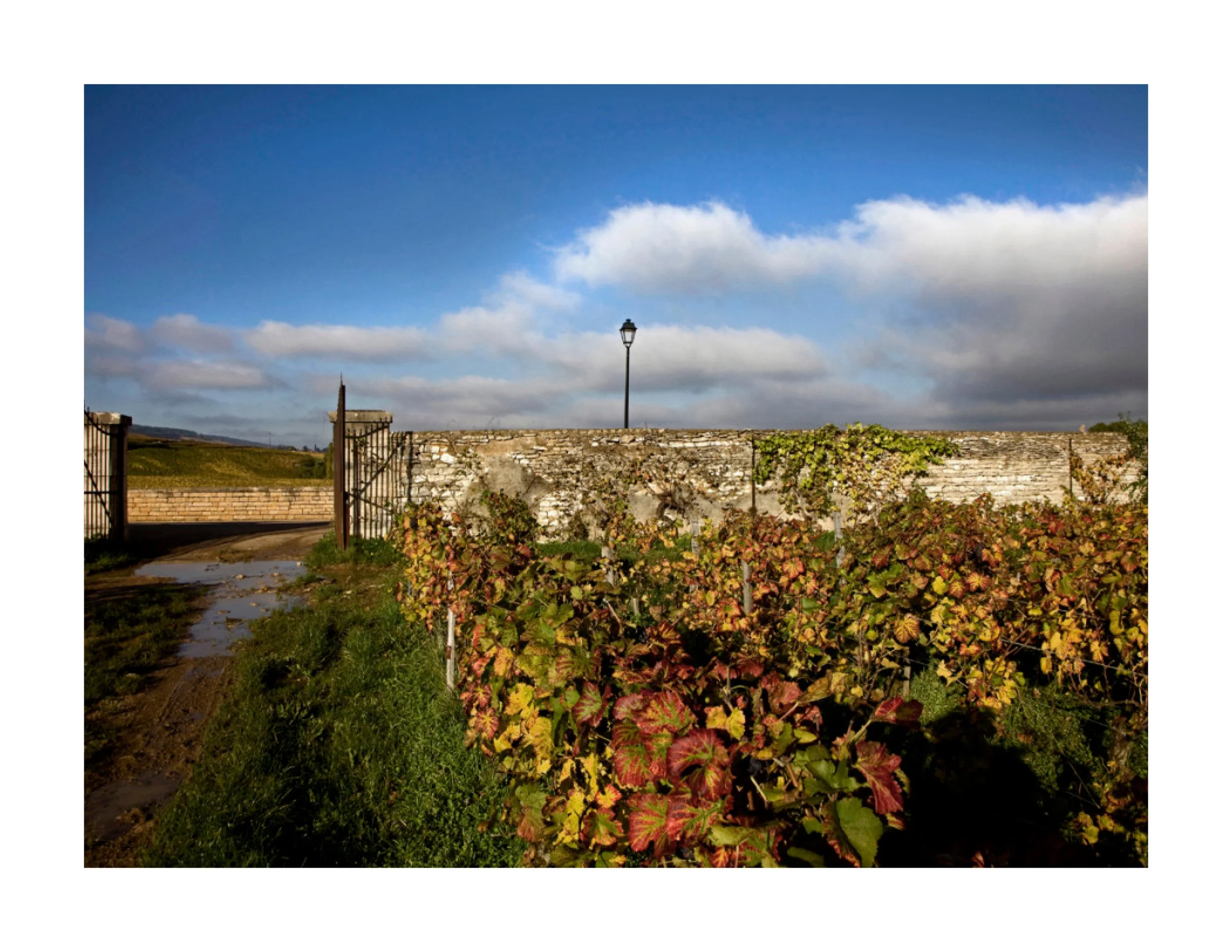 Domaine Prieuré Roch21.jpg