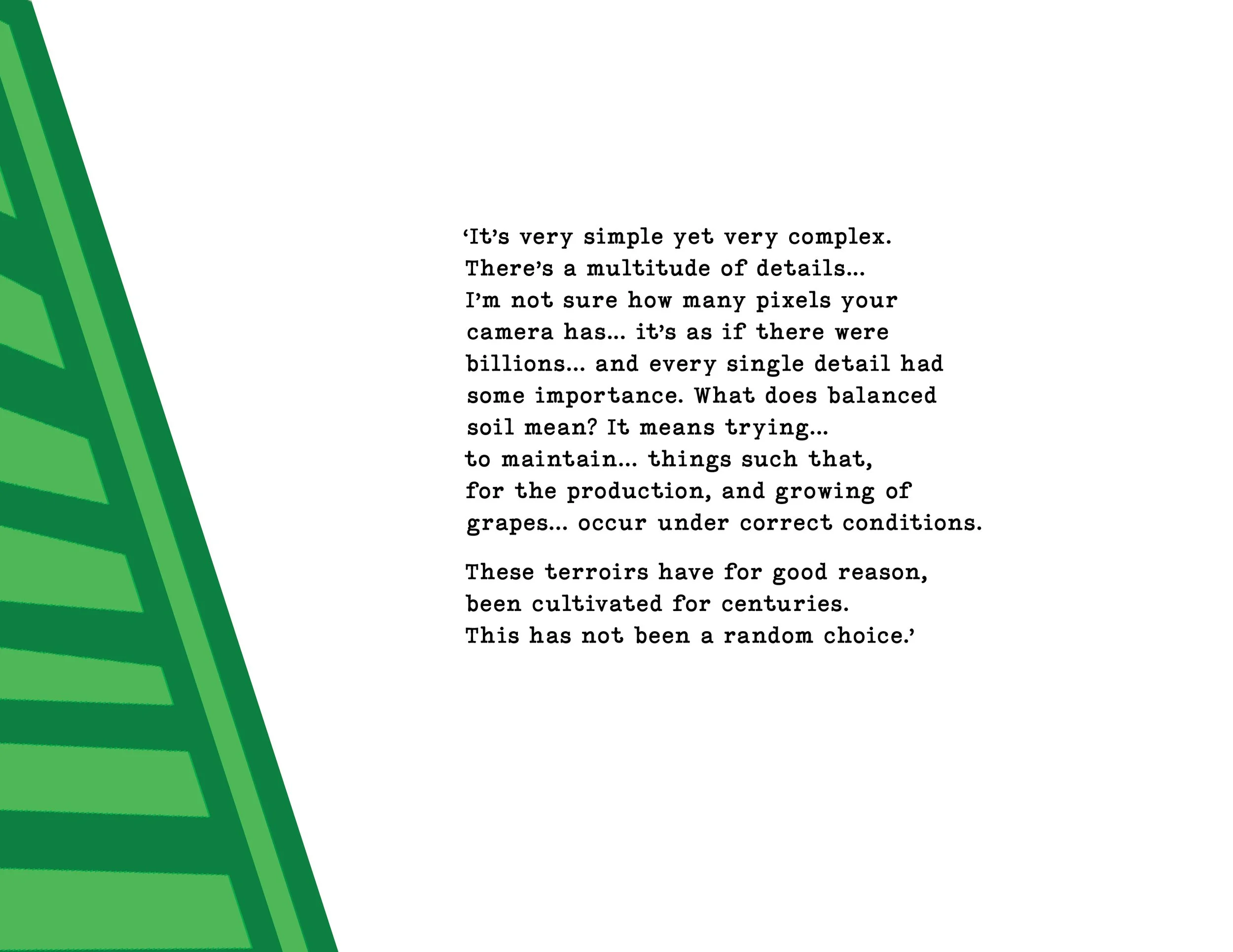 Domaine Prieuré Roch30.jpg