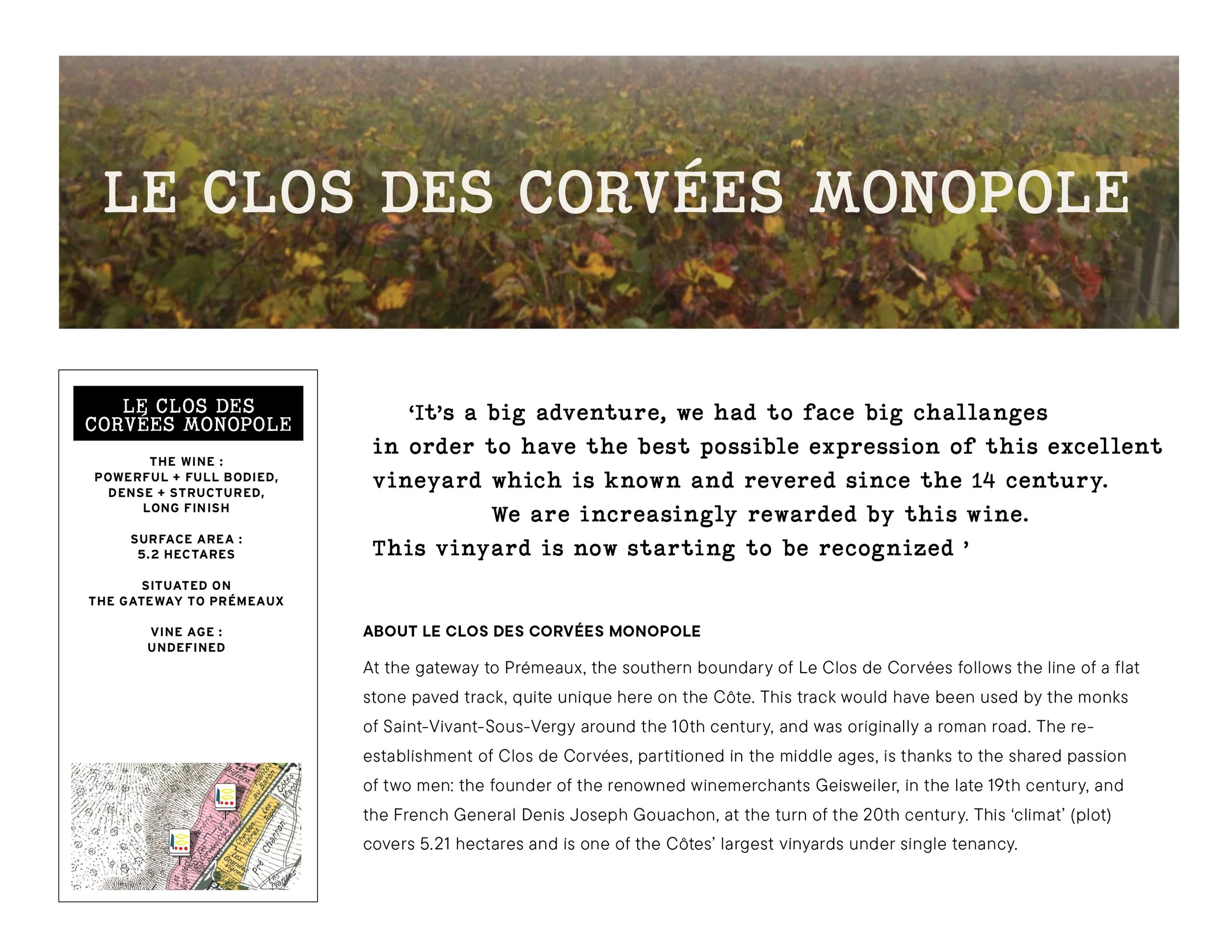 Domaine Prieuré Roch39.jpg