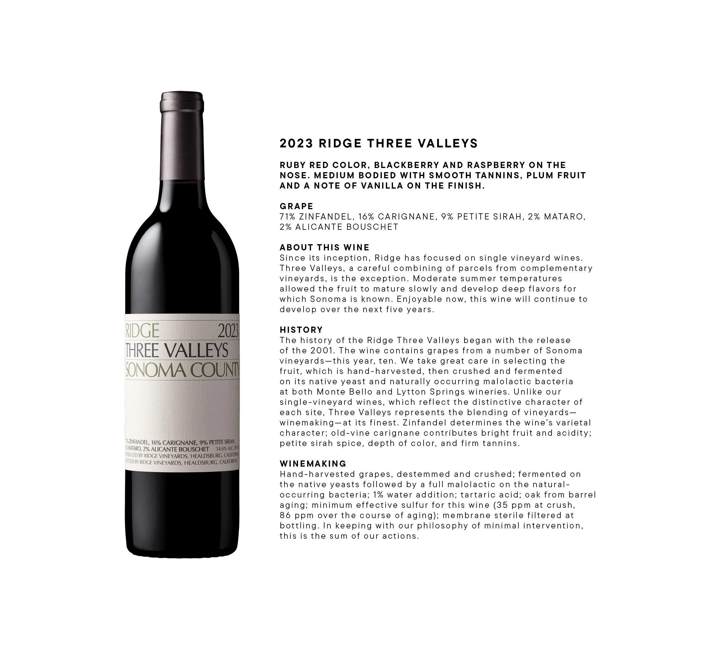 WINE BY GLASS INFO11.jpg